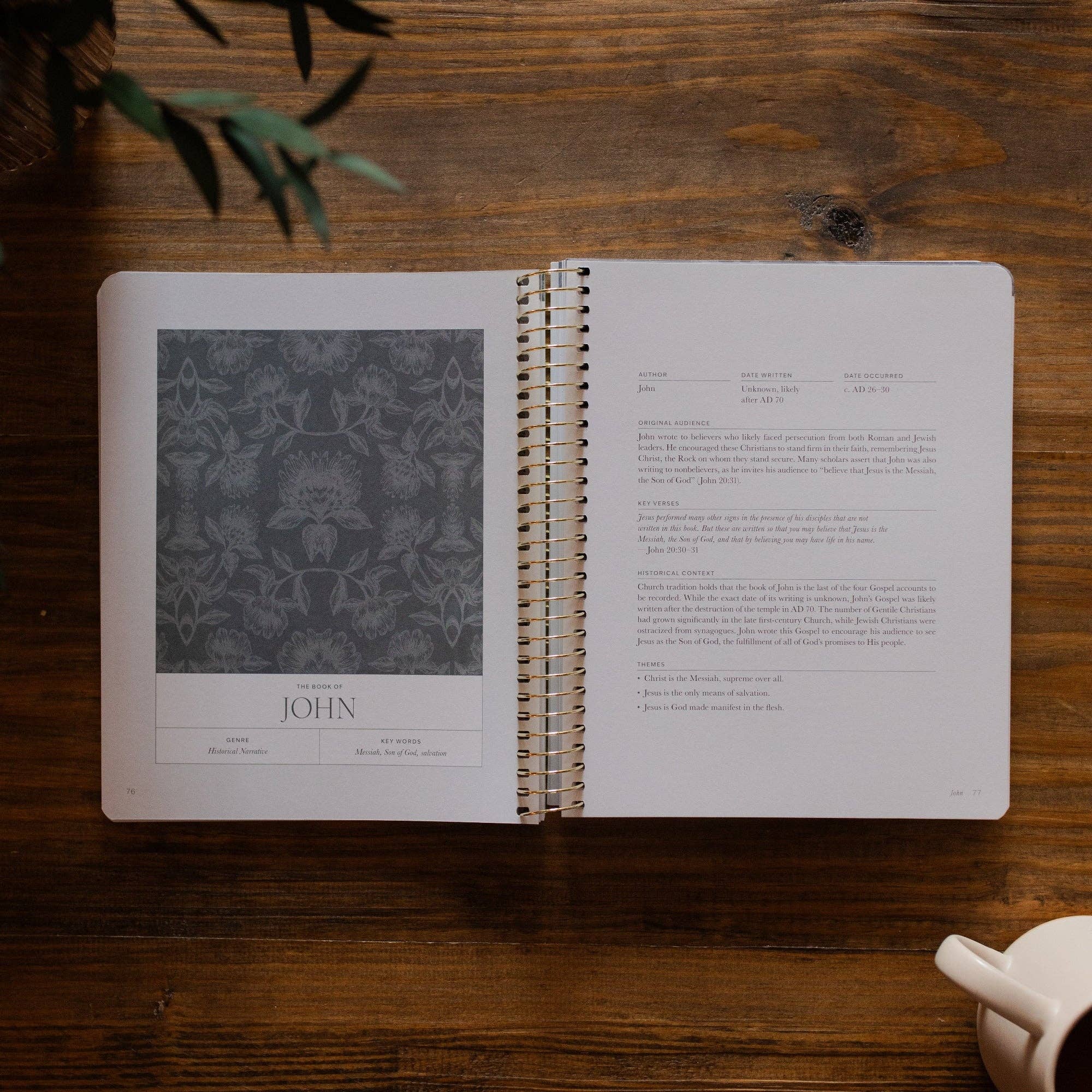 The Daily Grace Co - A Year in the Bible | Volume 4 Bible Study