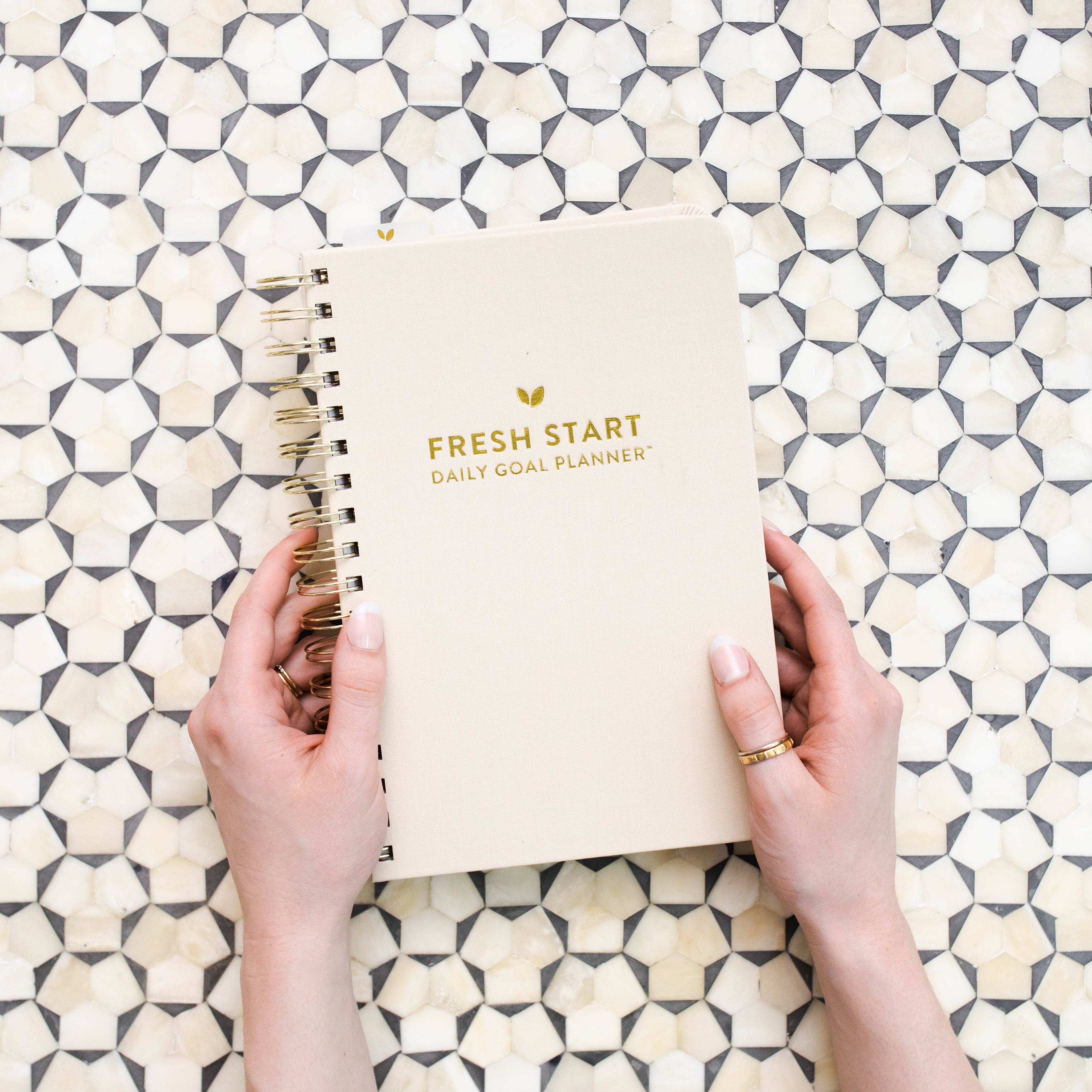 The Daily Grace Co - Fresh Start Daily Goal Planner | Natural Spiral | Undated