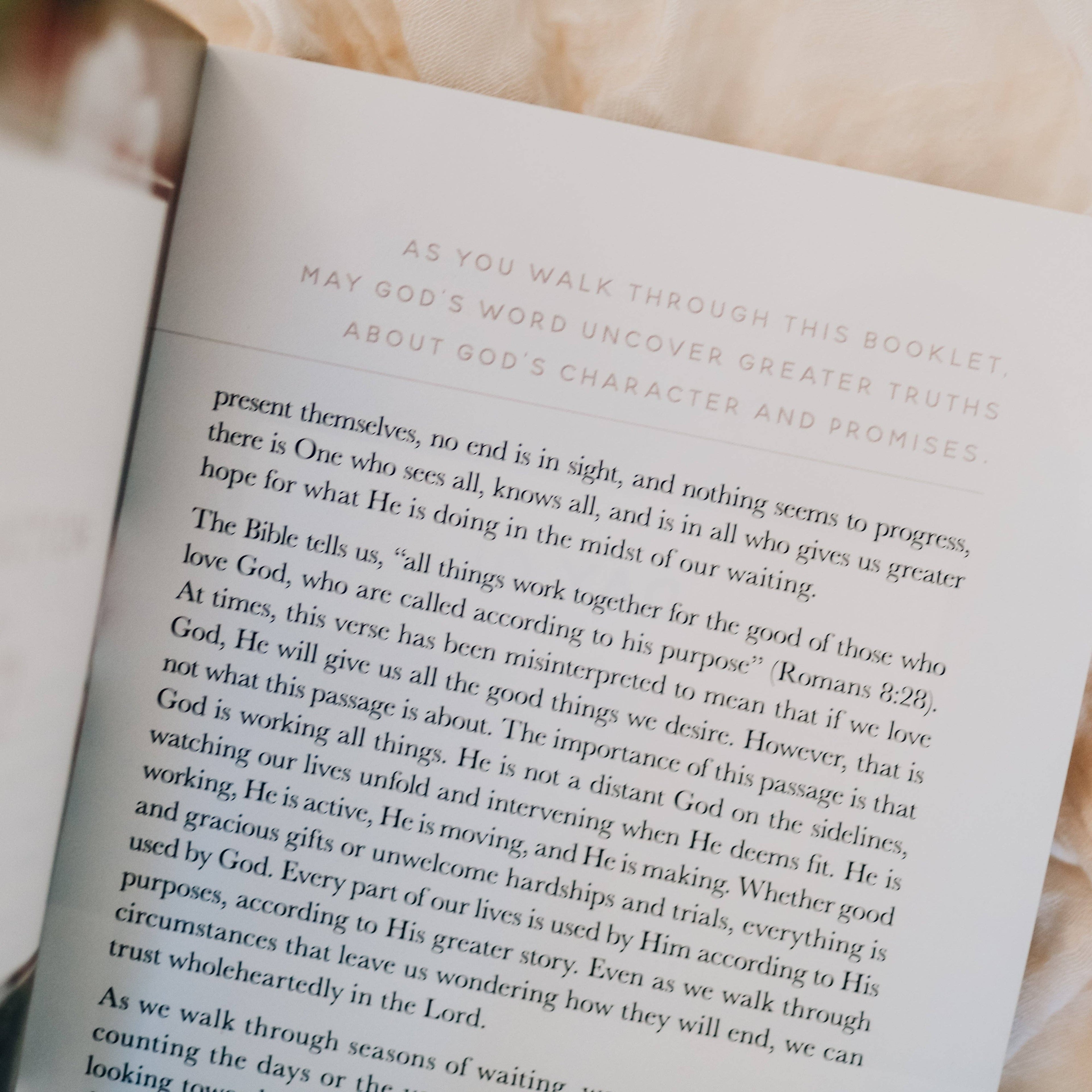 The Daily Grace Co - Meditations for Seasons of Waiting Booklet