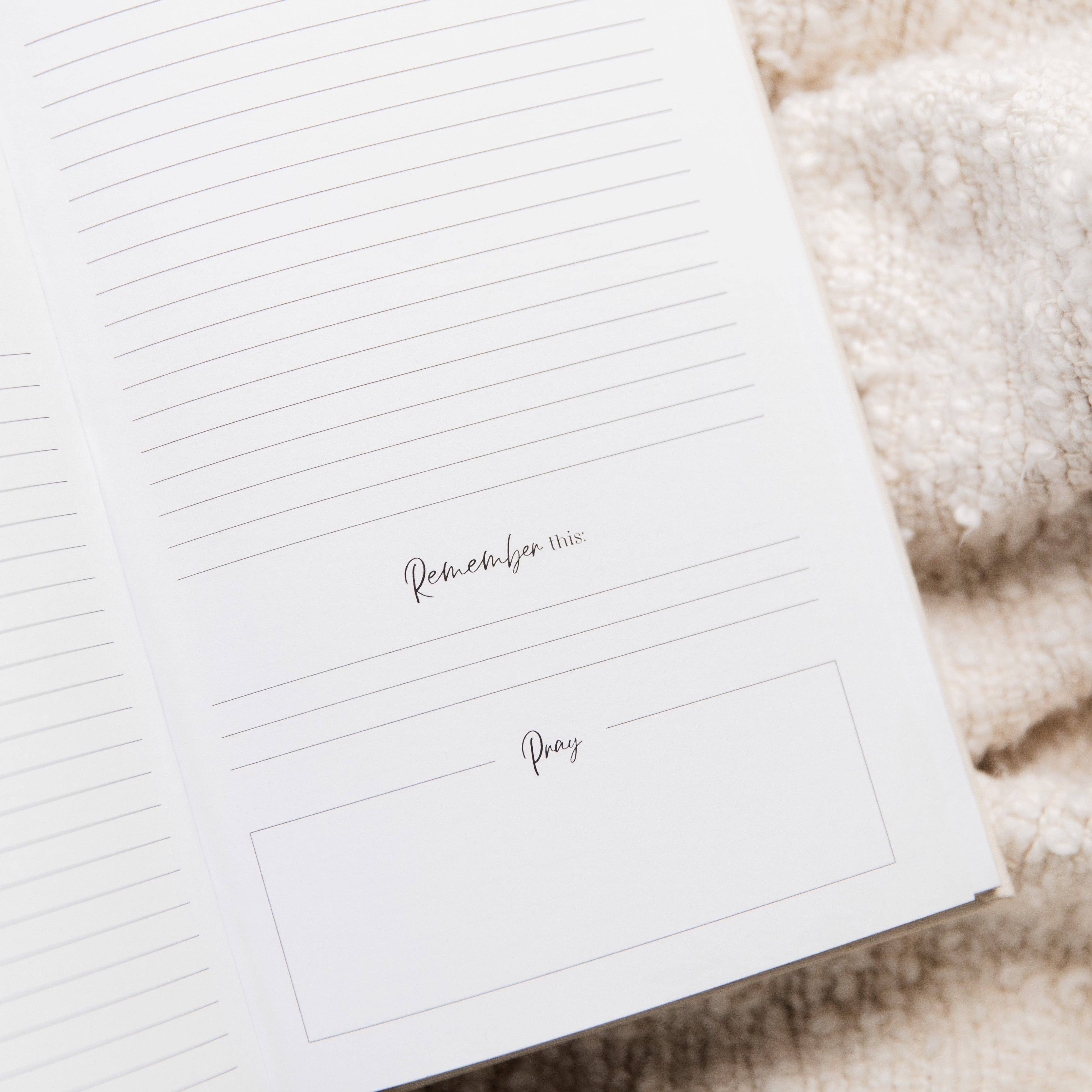 The Daily Grace Co - Dwell in the Word Journal | Linen Gold Foil Bound
