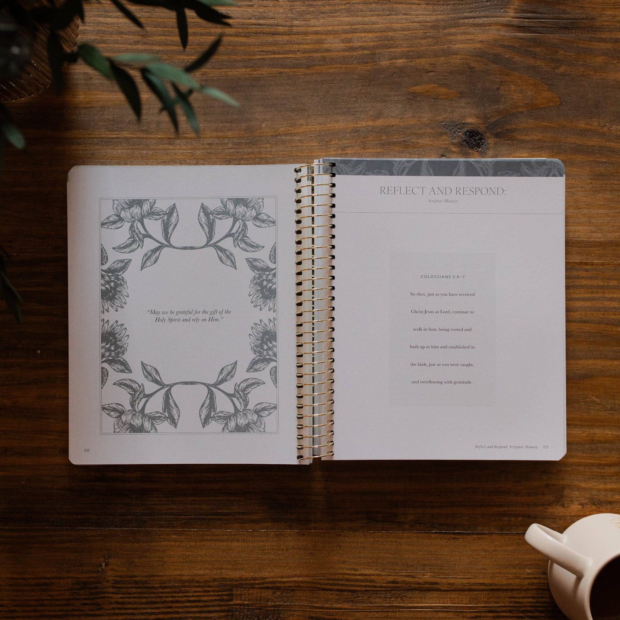 The Daily Grace Co - A Year in the Bible | Volume 4 Bible Study