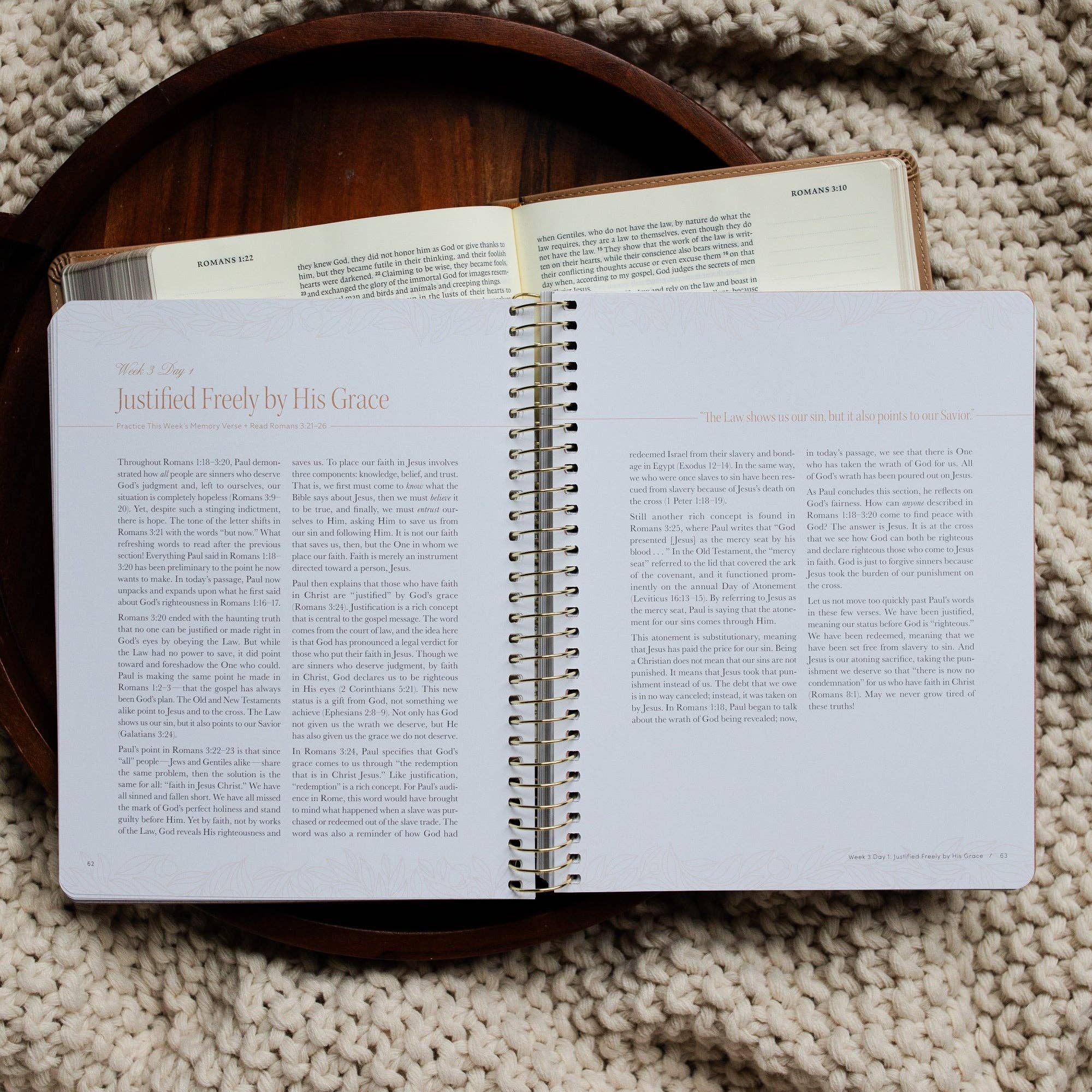 The Daily Grace Co - In Christ Alone: A Study on the Book of Romans