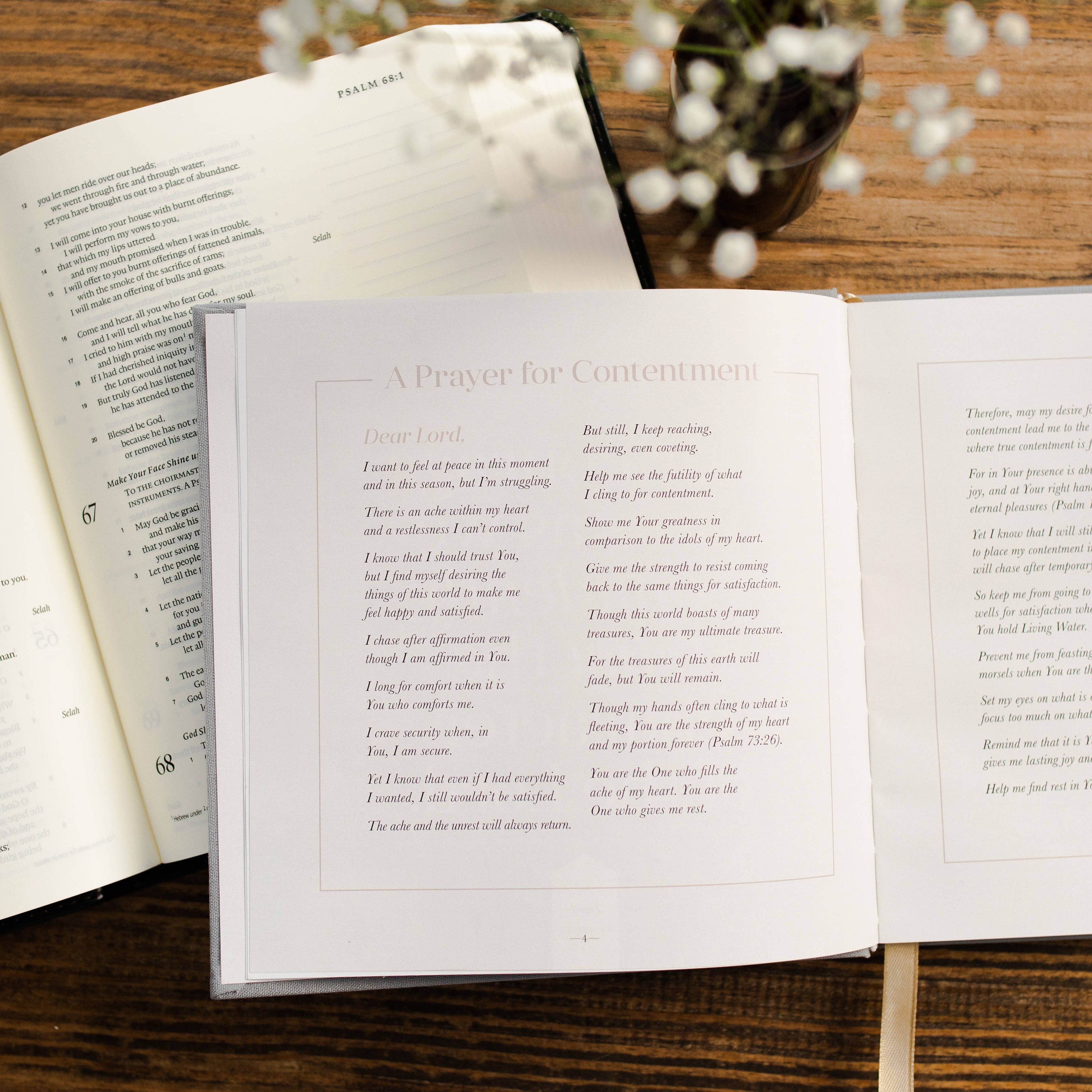 The Daily Grace Co - Satisfied | A 60-Day Devotional
