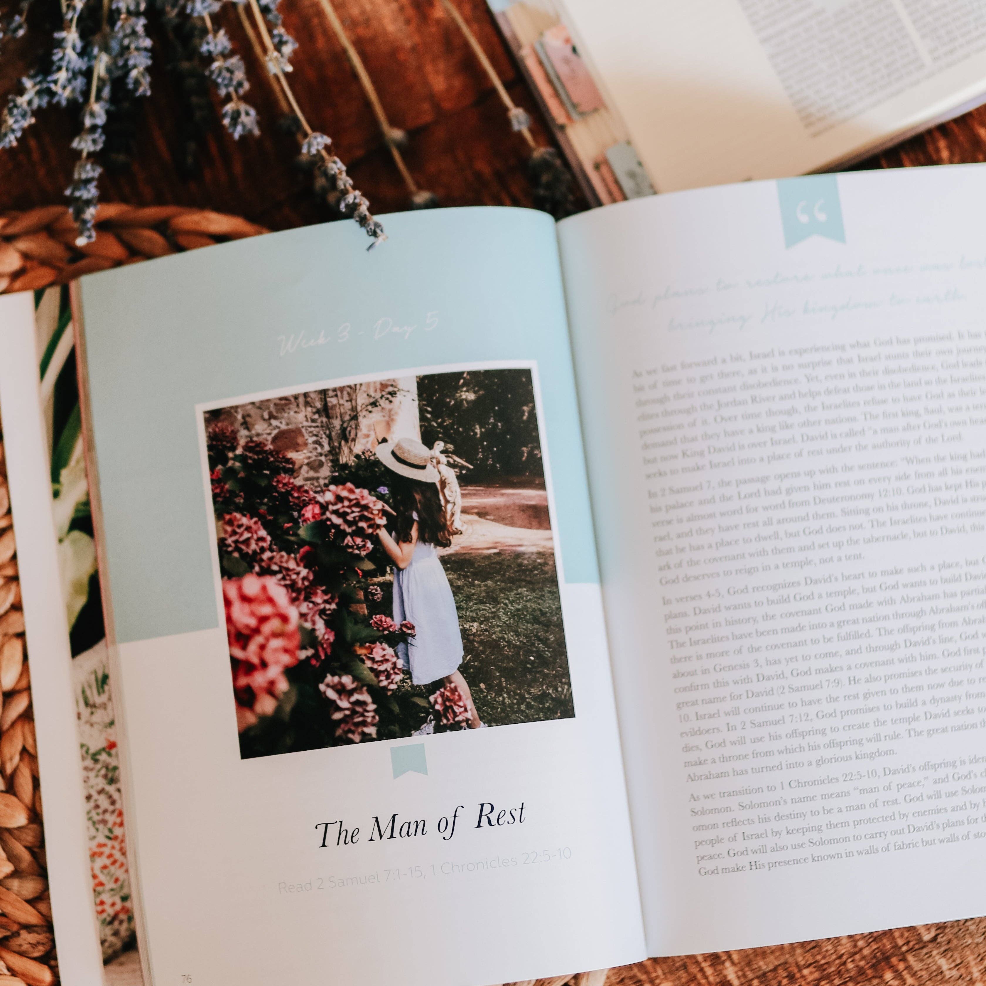 The Daily Grace Co - Rest | From Eden to Eternity