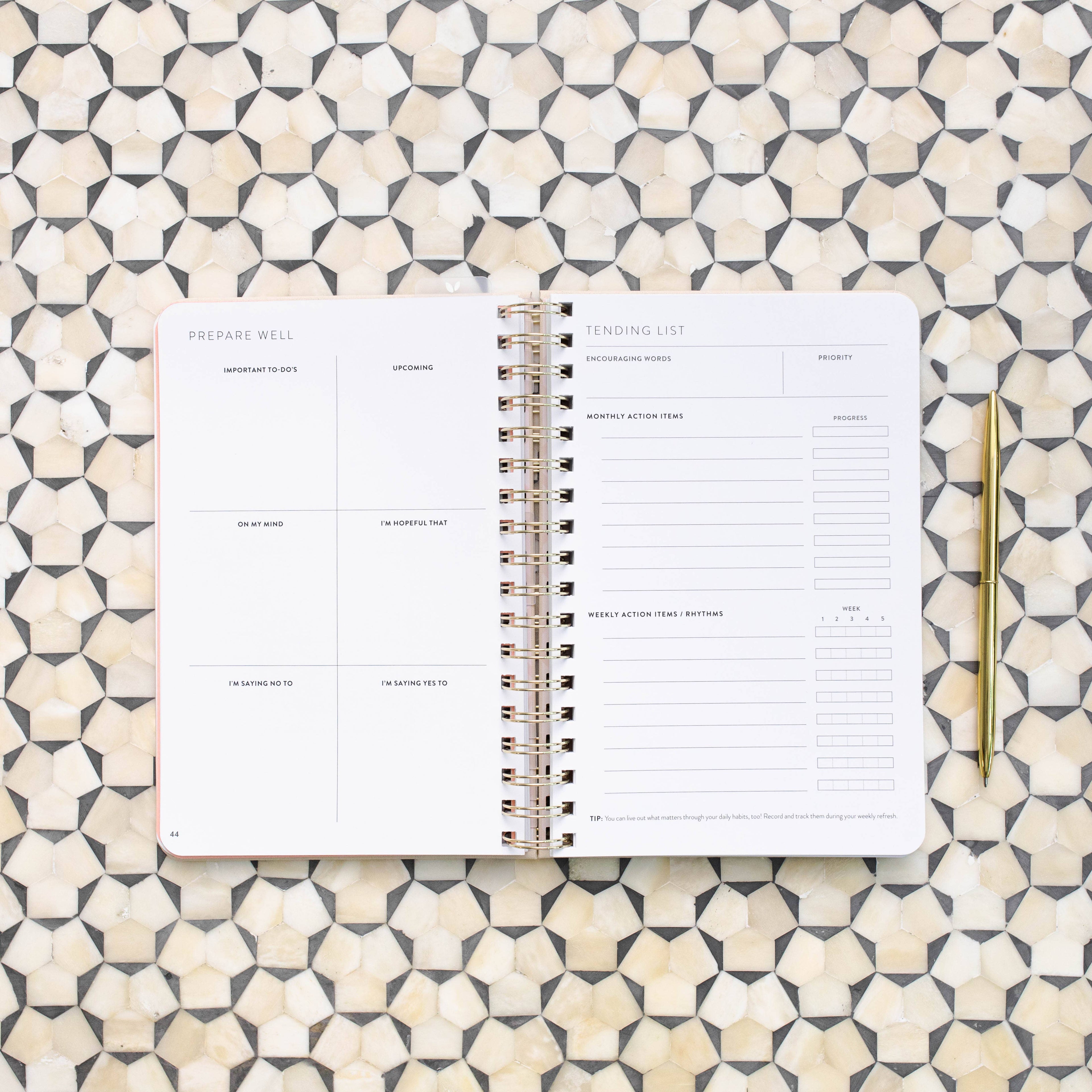 The Daily Grace Co - Fresh Start Daily Goal Planner | Natural Spiral | Undated