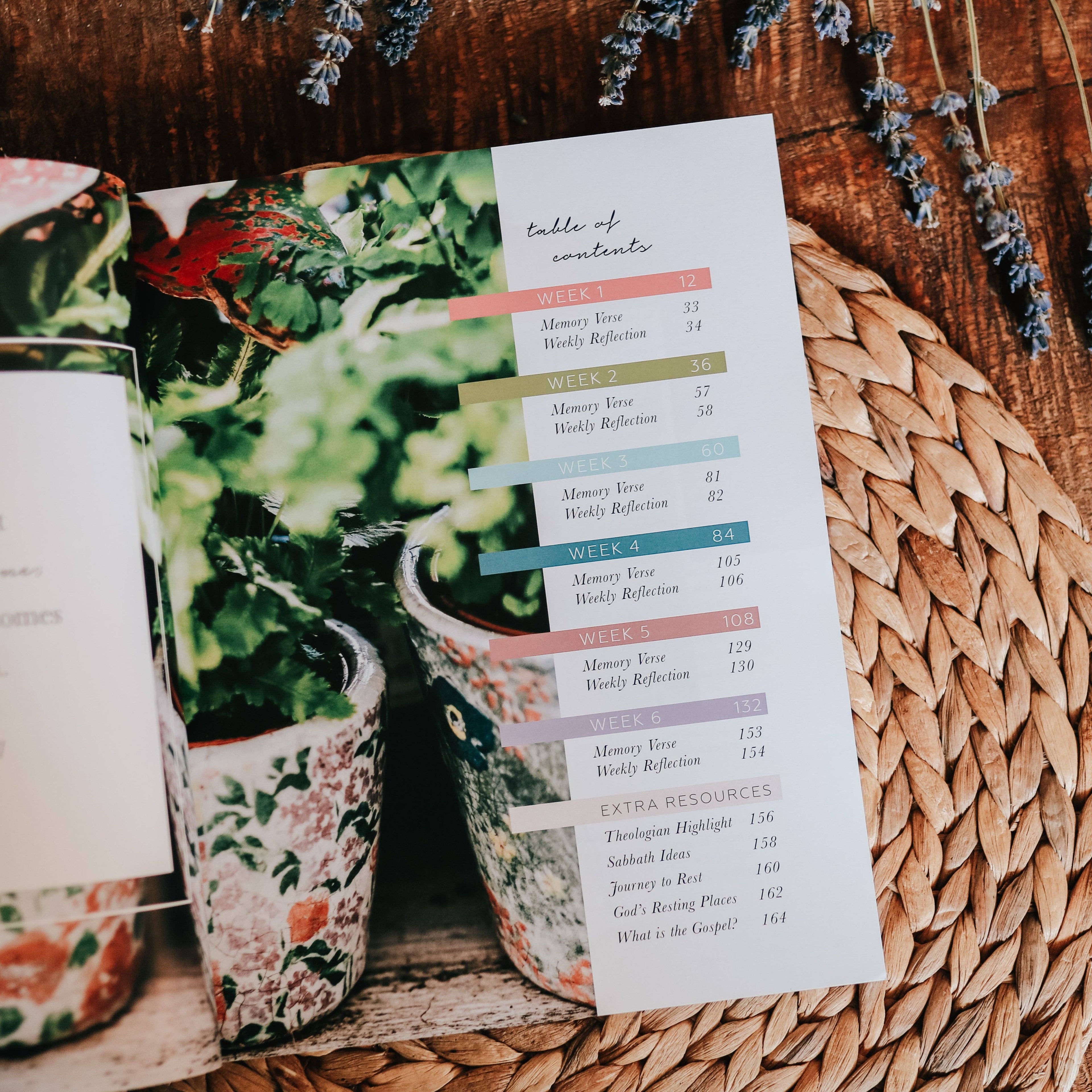 The Daily Grace Co - Rest | From Eden to Eternity