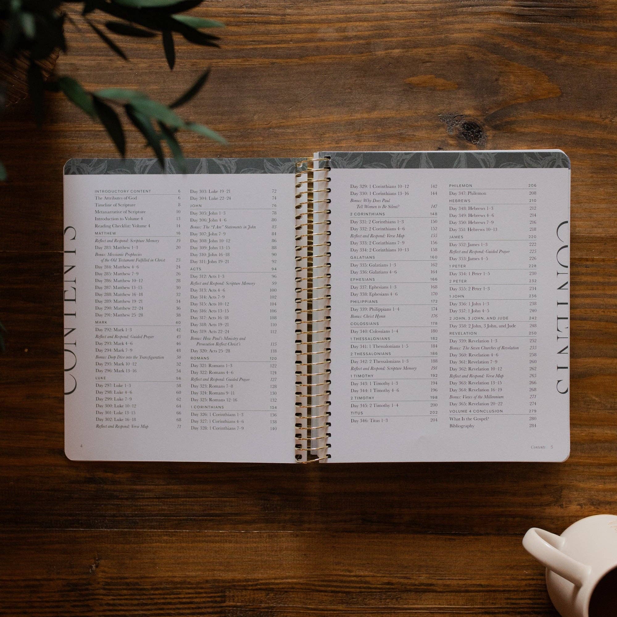 The Daily Grace Co - A Year in the Bible | Volume 4 Bible Study