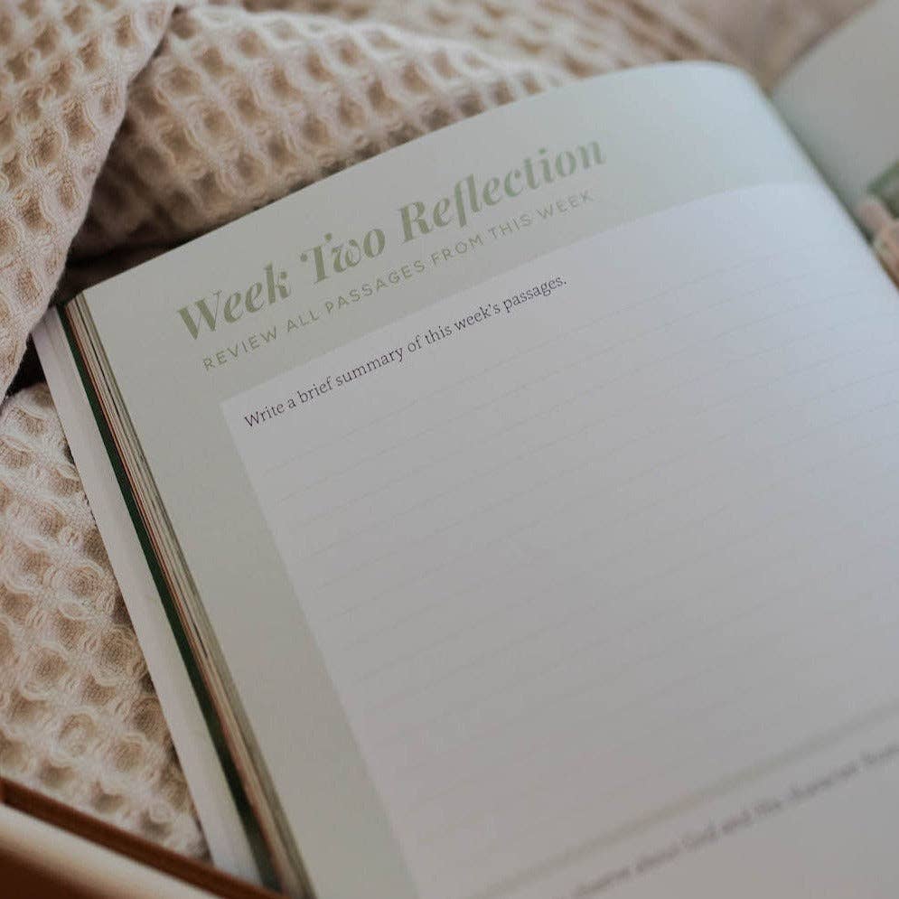The Daily Grace Co - Emotions and the Heart