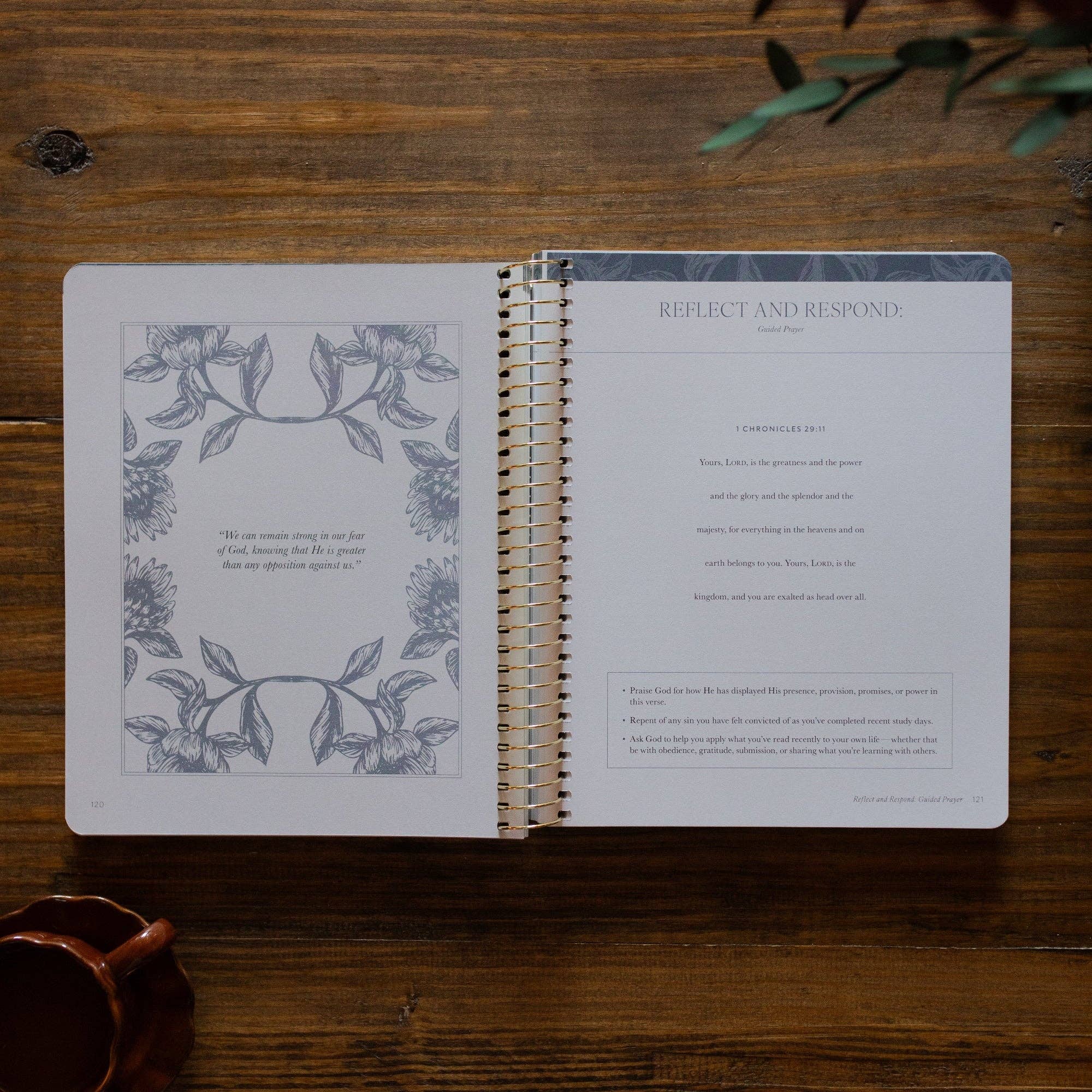 The Daily Grace Co - A Year in the Bible | 365 Days of Discovering the Beauty of Jesus from Genesis to Revelation | Volume 2