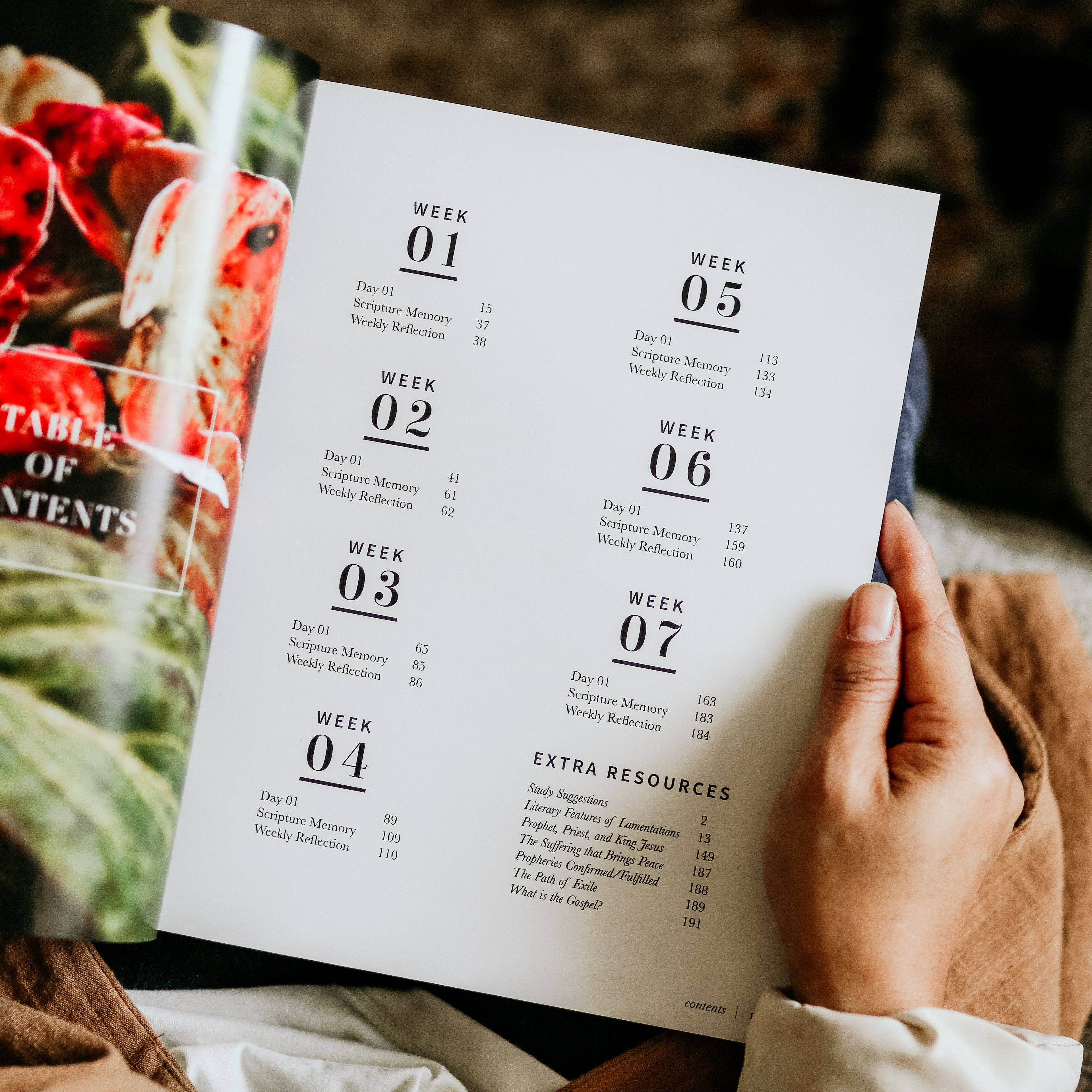 The Daily Grace Co - Between Grief and Glory | Lamentations Study