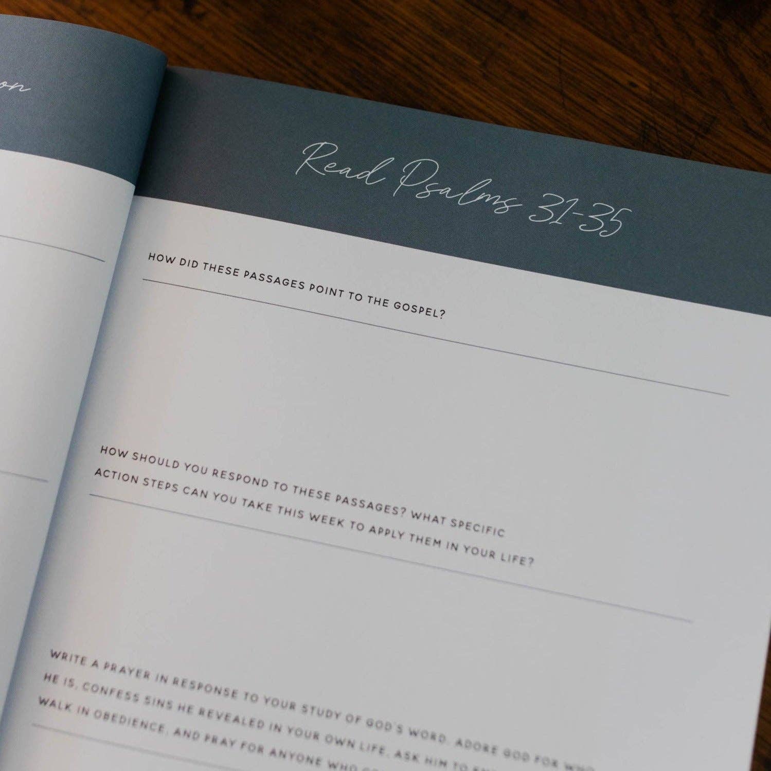 The Daily Grace Co - Wait | Psalms 31-60