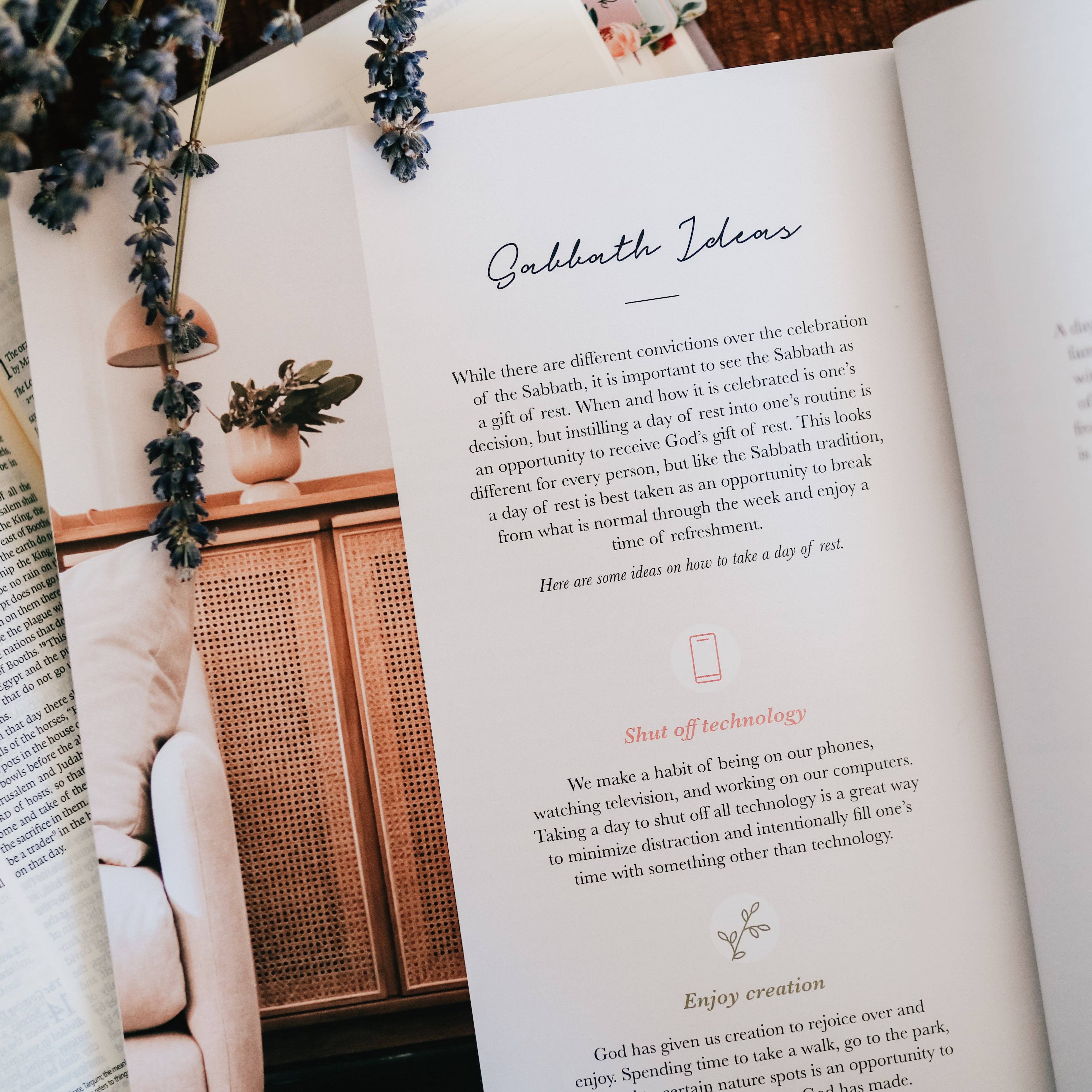 The Daily Grace Co - Rest | From Eden to Eternity