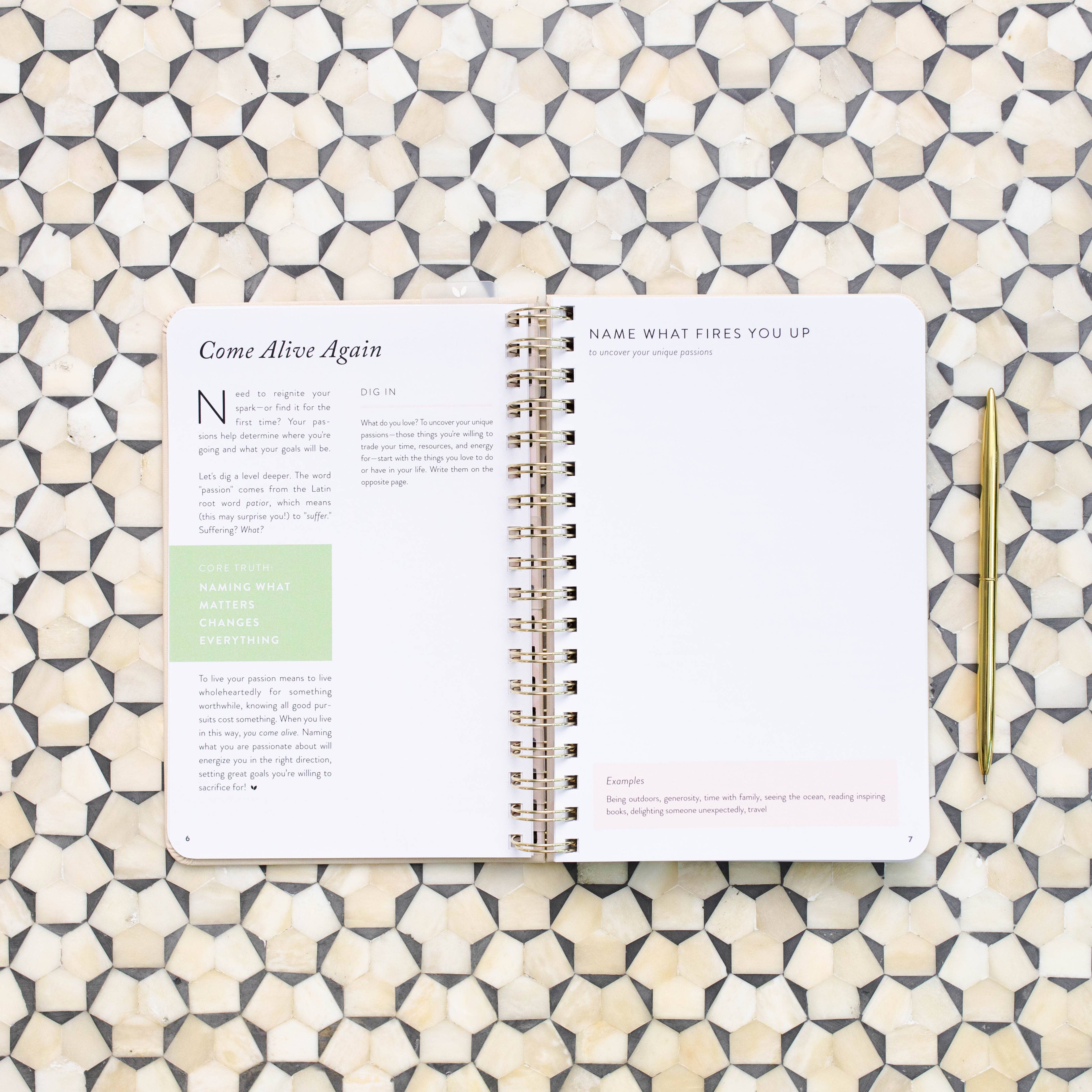 The Daily Grace Co - Fresh Start Daily Goal Planner | Natural Spiral | Undated