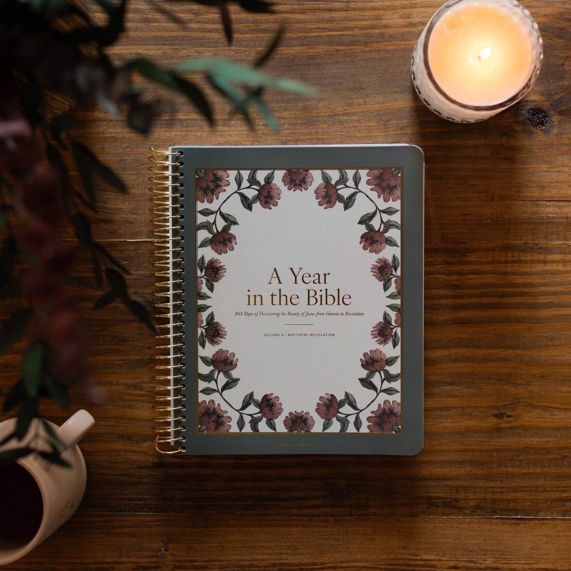 The Daily Grace Co - A Year in the Bible | Volume 4 Bible Study