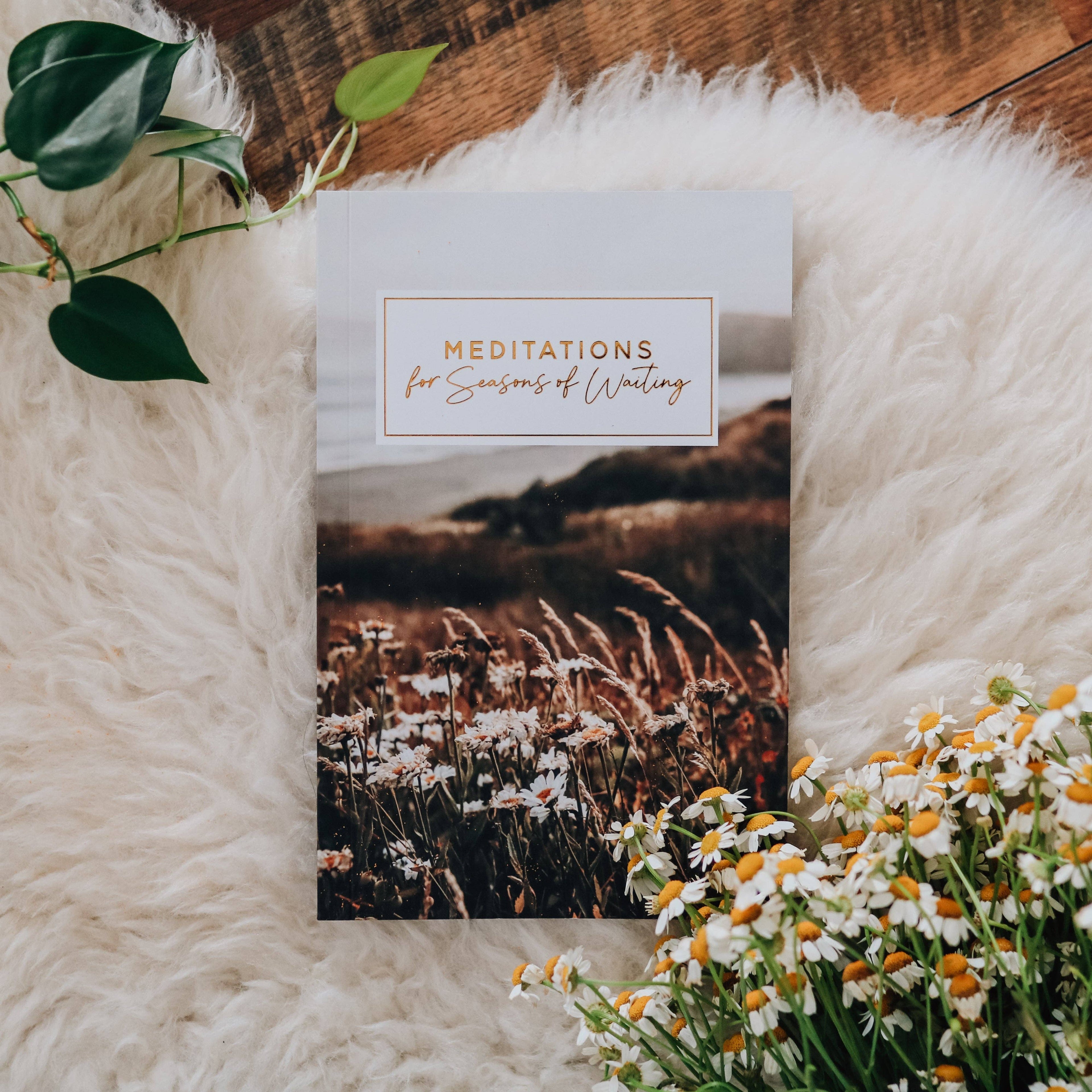 The Daily Grace Co - Meditations for Seasons of Waiting Booklet