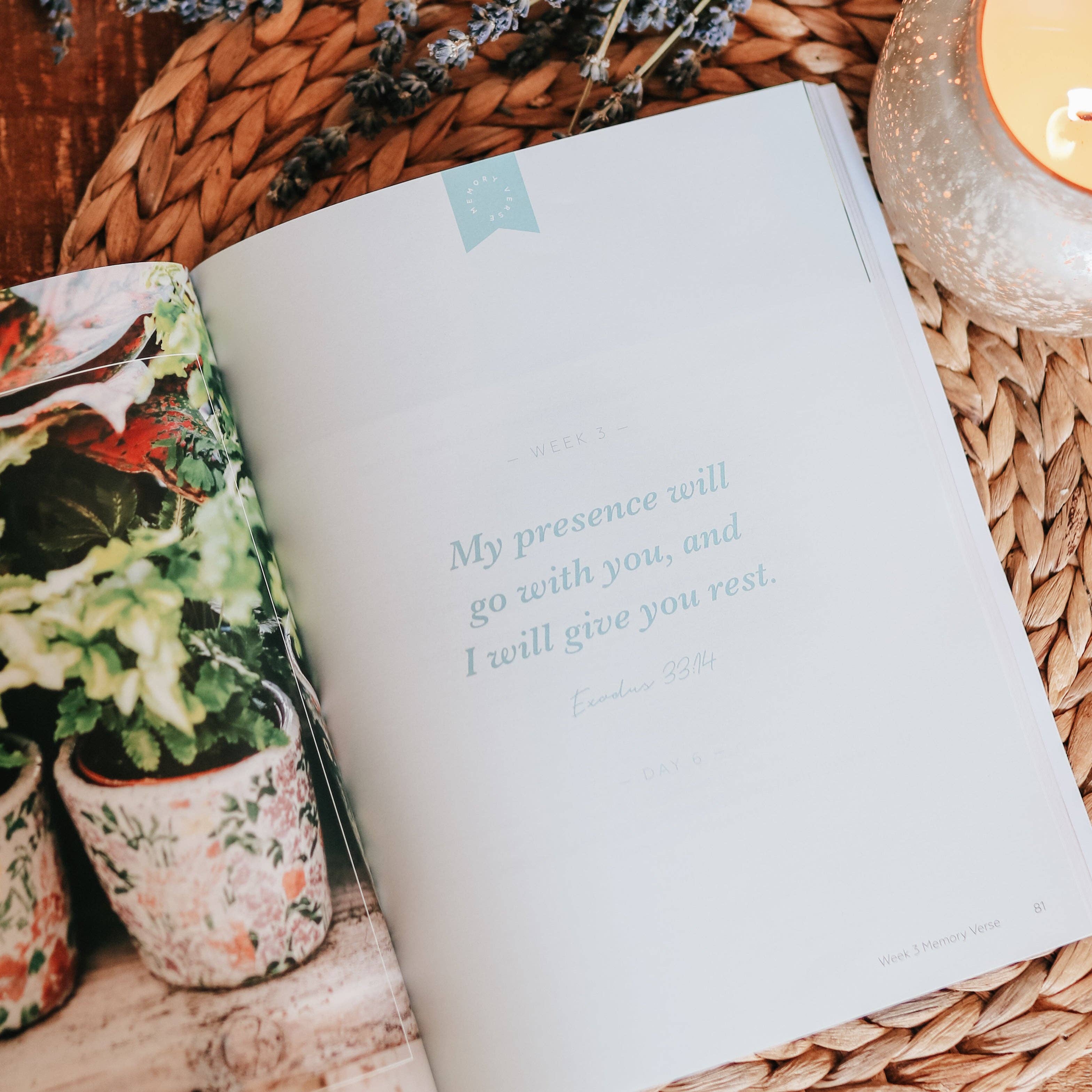 The Daily Grace Co - Rest | From Eden to Eternity