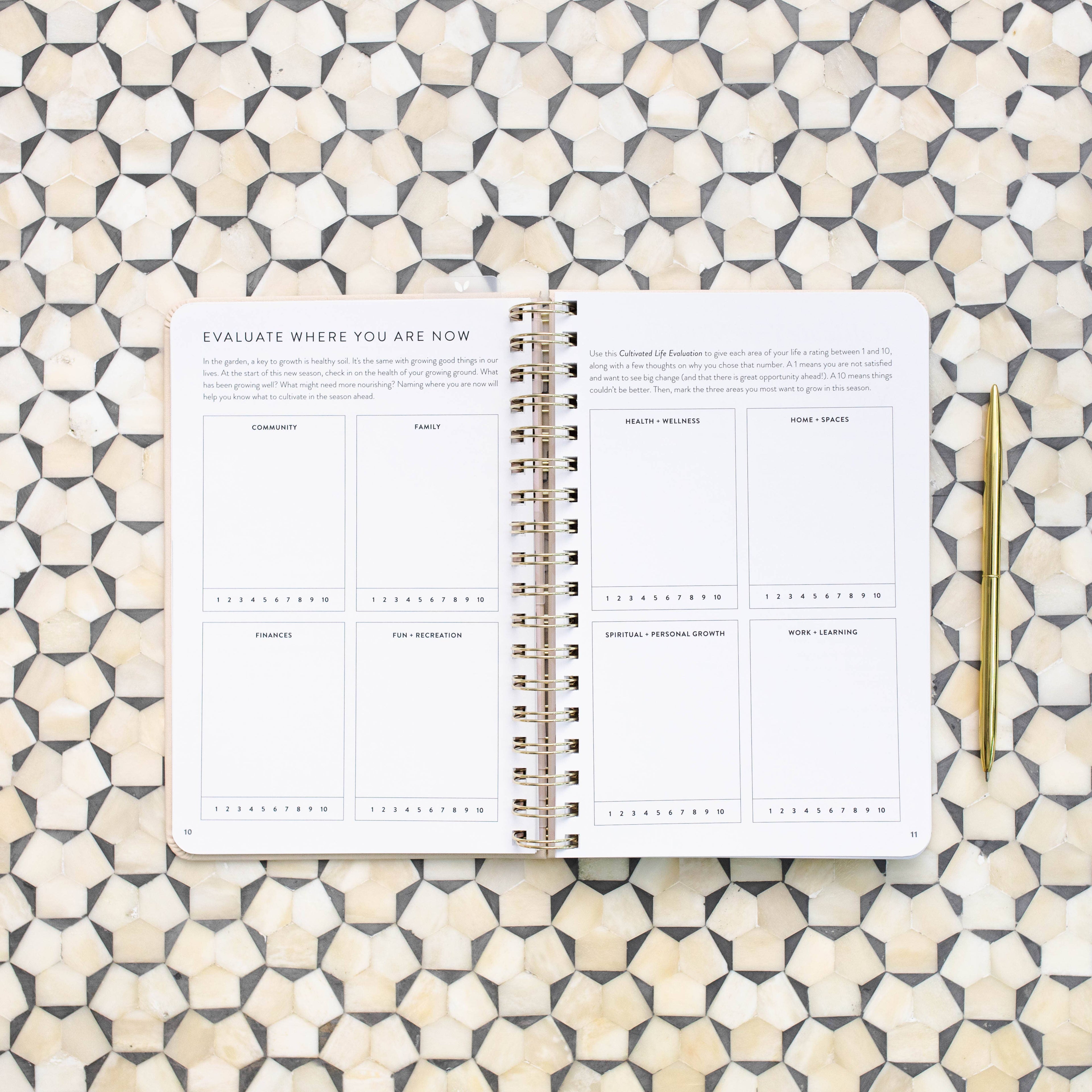 The Daily Grace Co - Fresh Start Daily Goal Planner | Natural Spiral | Undated