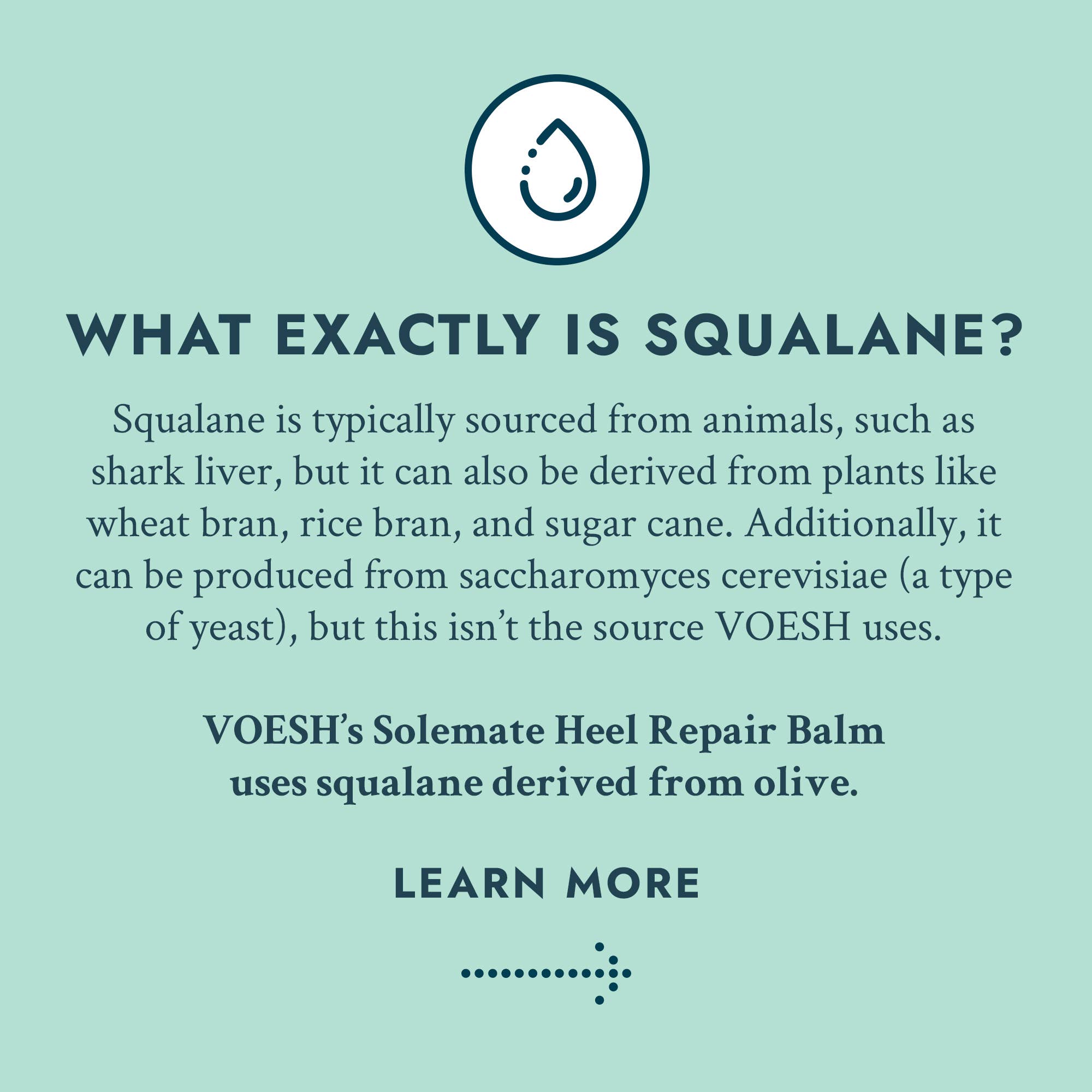 VOESH New York - Solemate Heel Repair Balm Retail - Mint