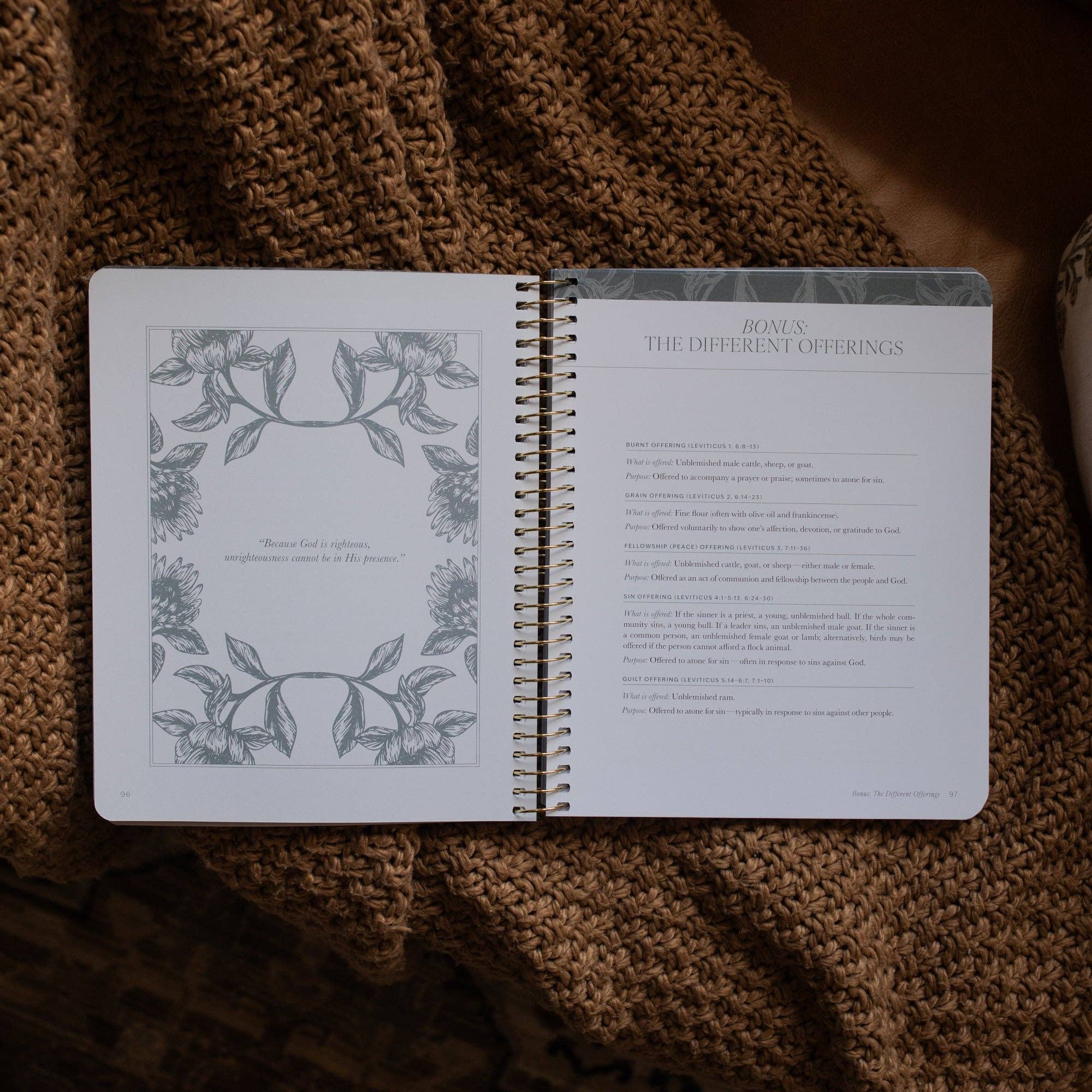The Daily Grace Co - A Year in the Bible | Volume 1 Bible Study