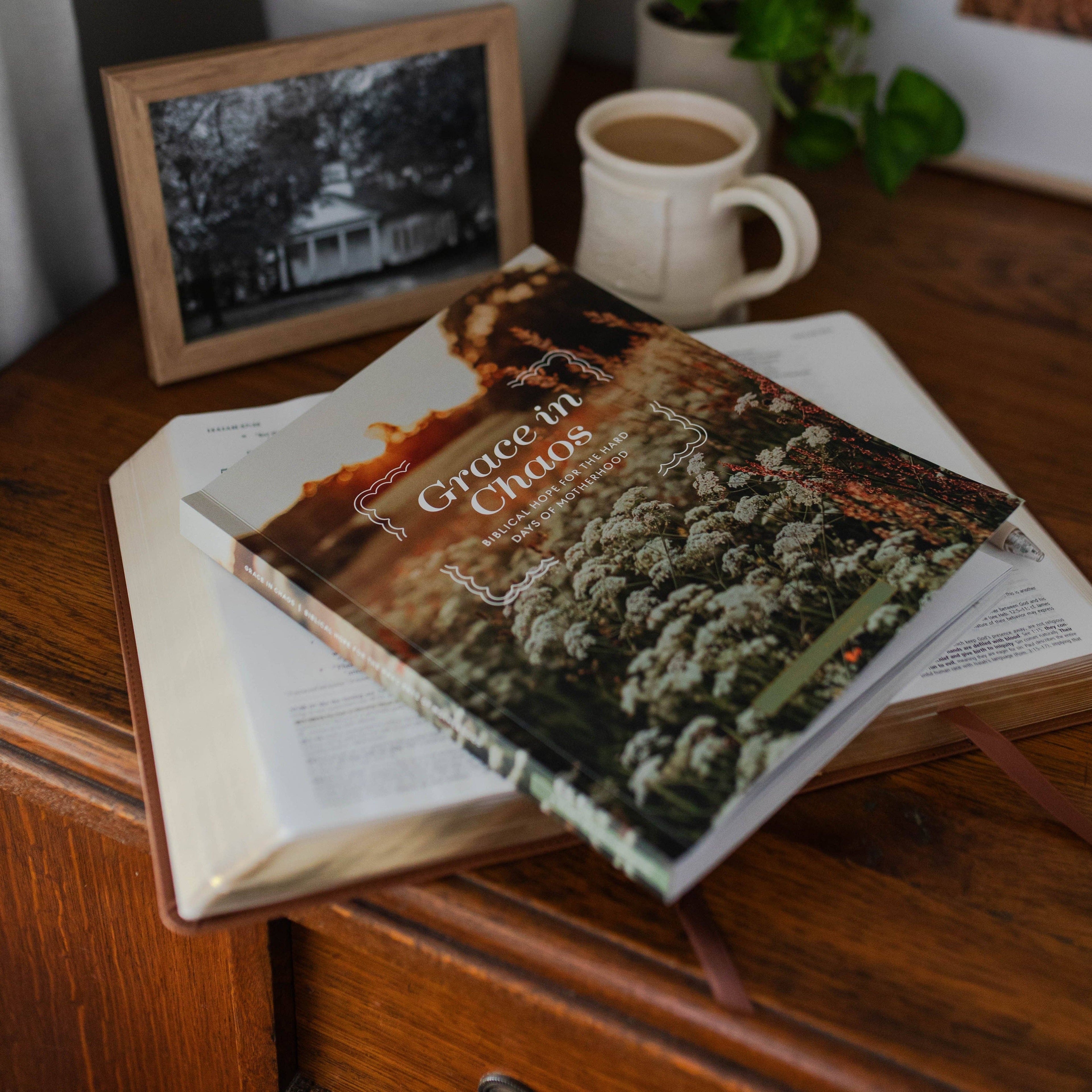 The Daily Grace Co - Grace in Chaos | Biblical Hope for the Hard Days of Motherhood