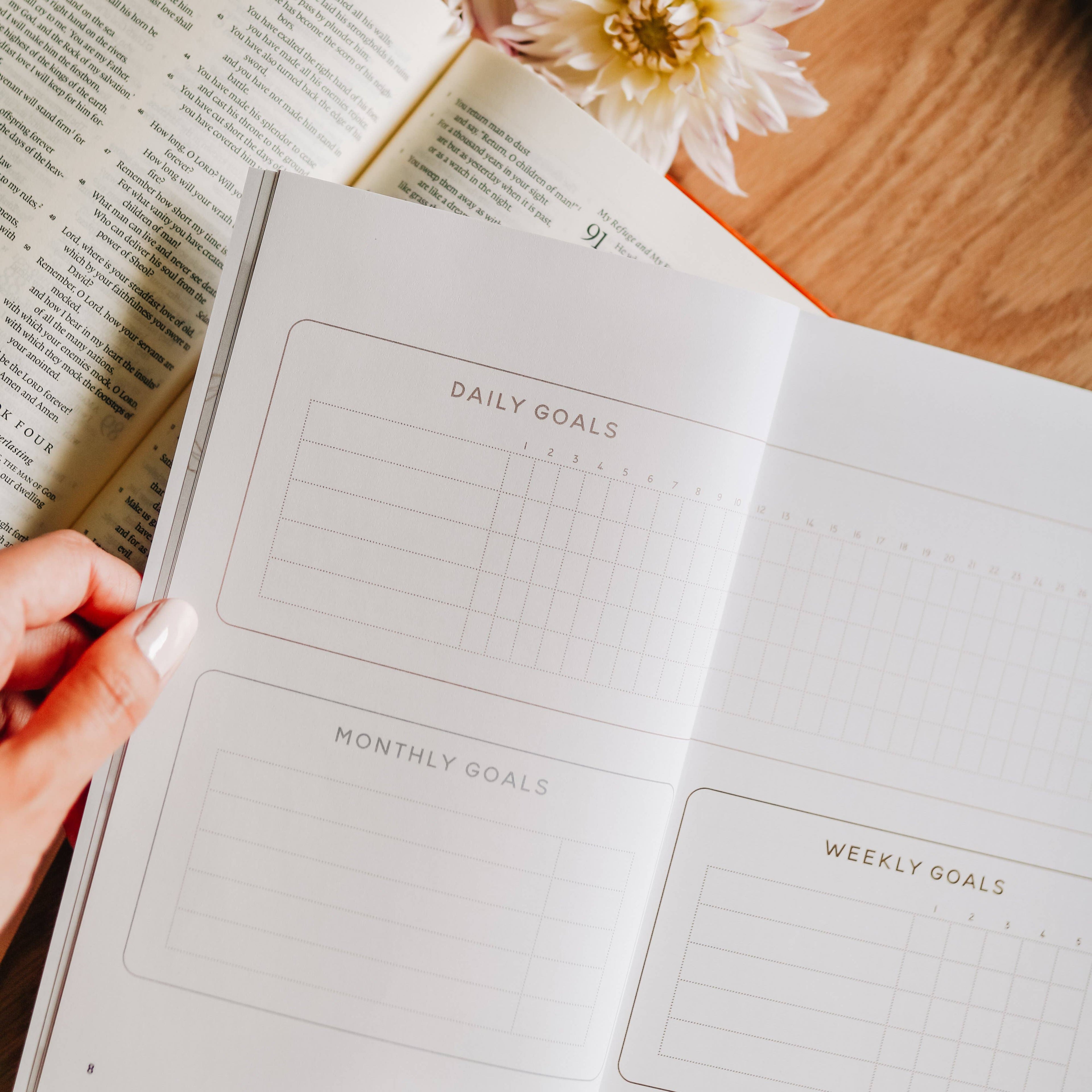 The Daily Grace Co - Redeeming Your Phone Time Booklet