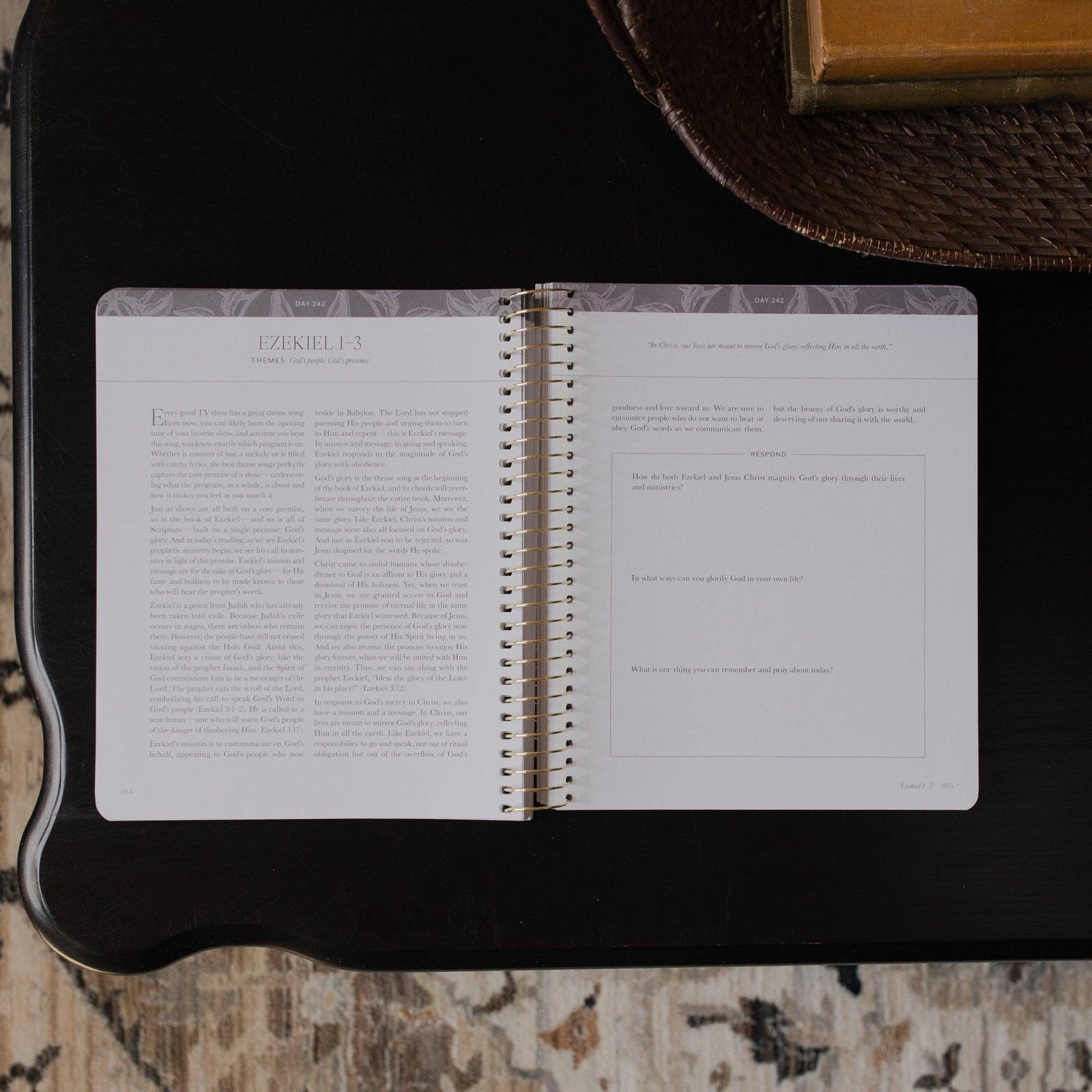 The Daily Grace Co - A Year in the Bible | 365 Days of Discovering the Beauty of Jesus from Genesis to Revelation | Volume 3