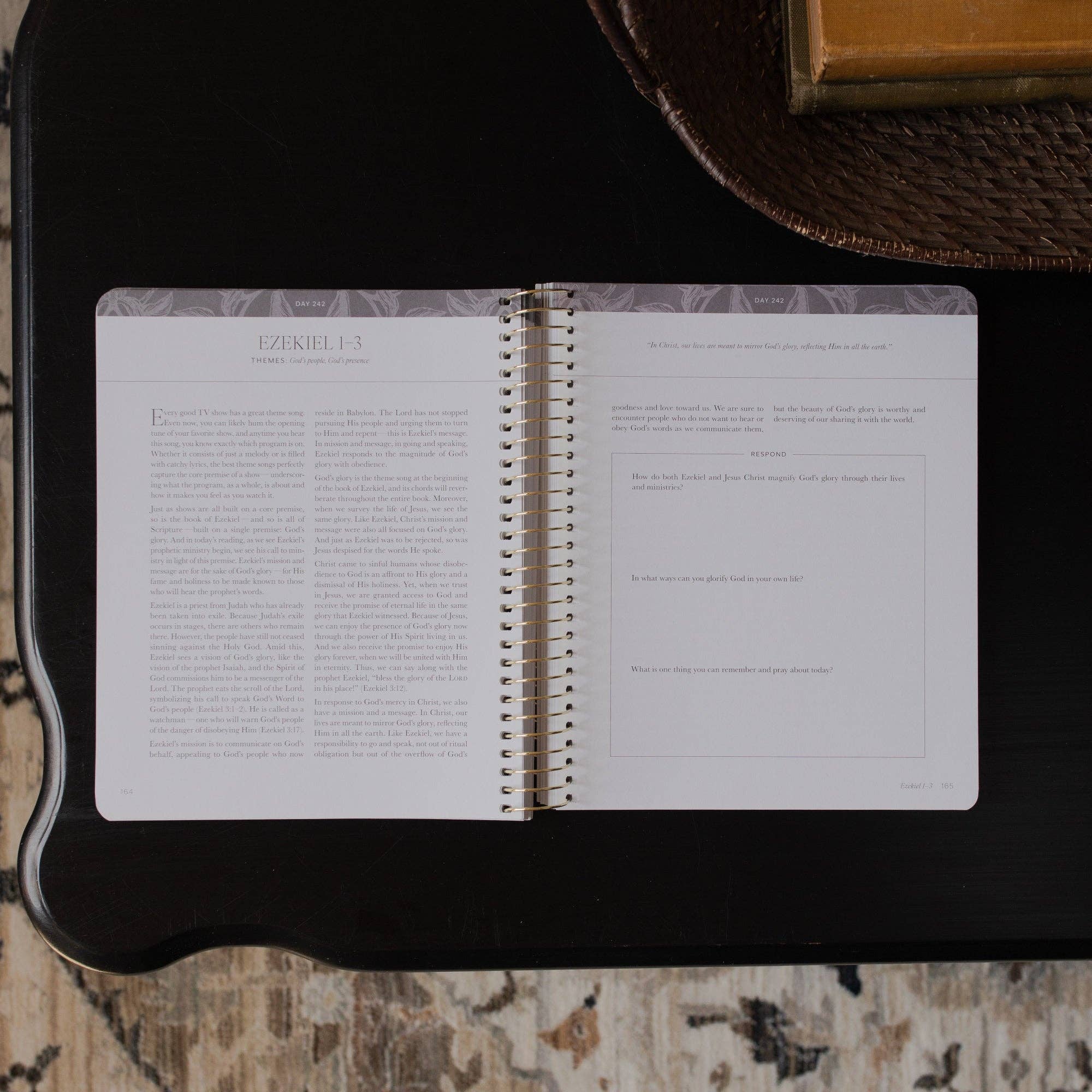 The Daily Grace Co - A Year in the Bible | 365 Days of Discovering the Beauty of Jesus from Genesis to Revelation | Volume 3