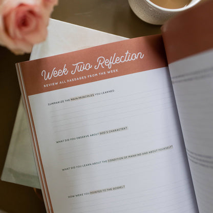 The Daily Grace Co - Growing in Grace | Spiritual Disciplines Study