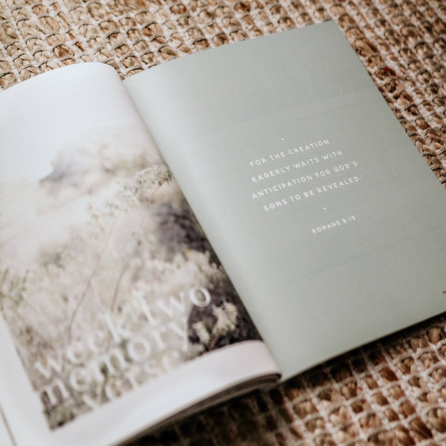 The Daily Grace Co - Never Alone | Depression Study