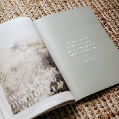 The Daily Grace Co - Never Alone | Depression Study