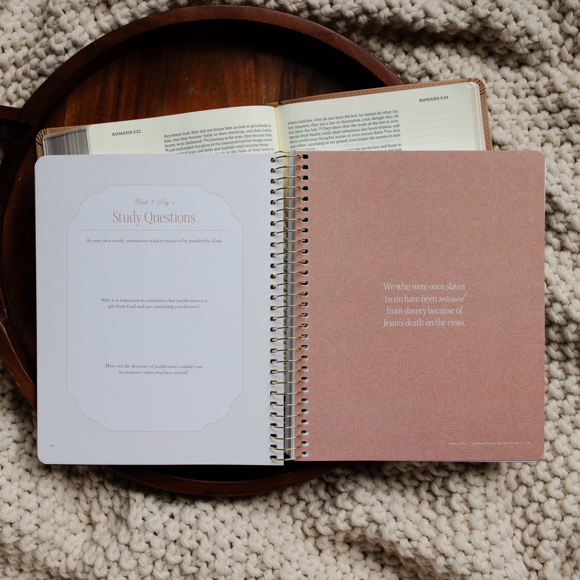 The Daily Grace Co - In Christ Alone: A Study on the Book of Romans