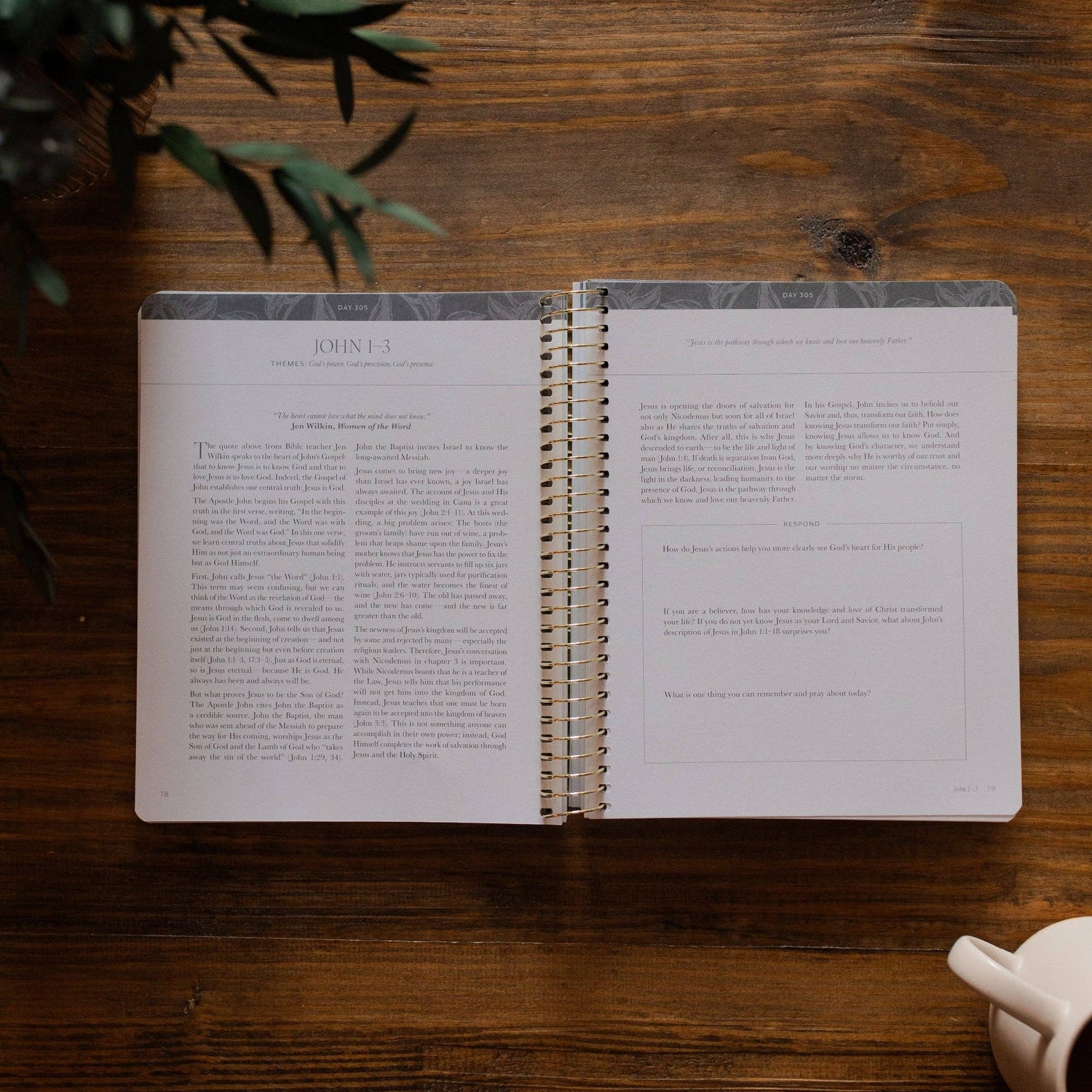 The Daily Grace Co - A Year in the Bible | Volume 4 Bible Study