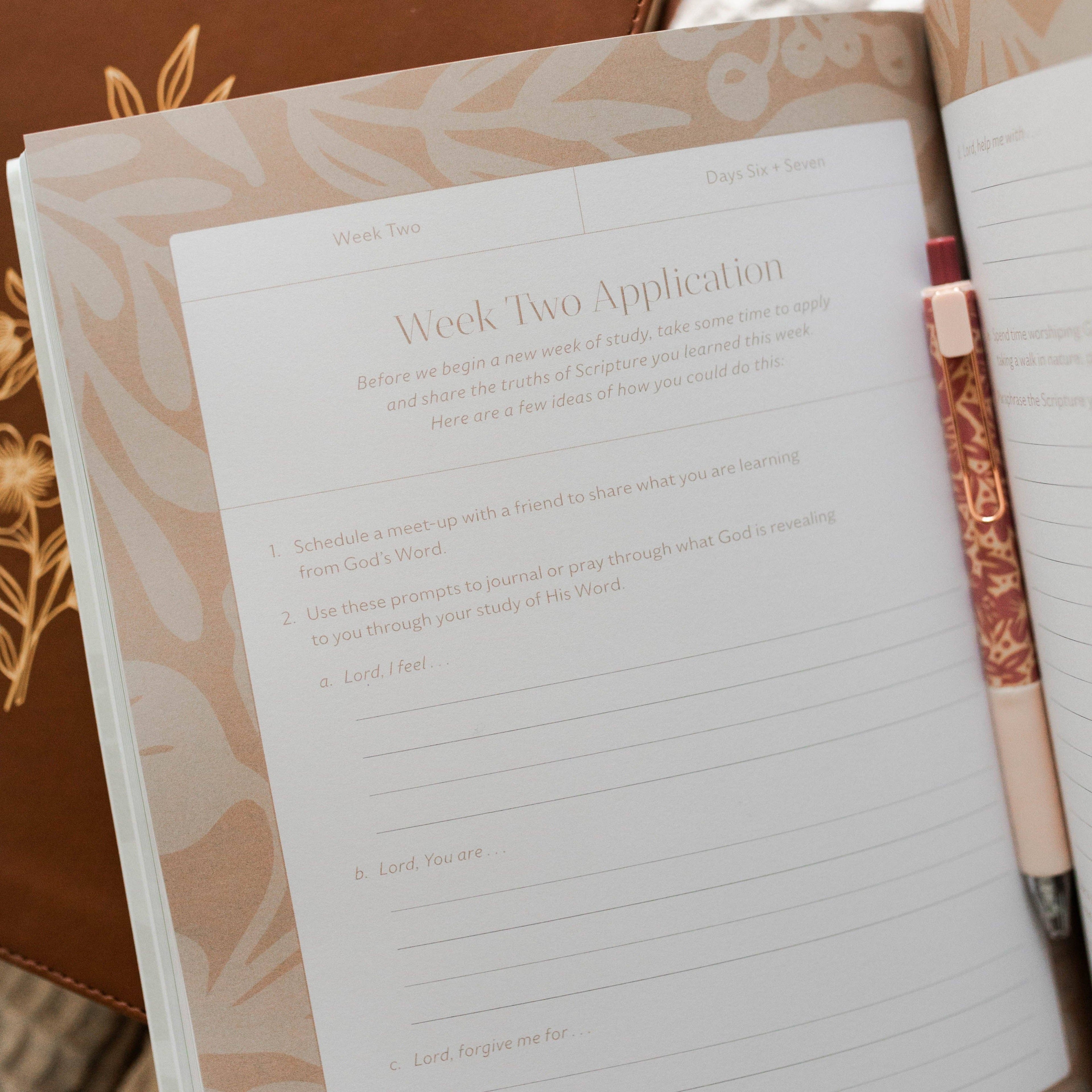 The Daily Grace Co - Craving Community | A Study on Friendship