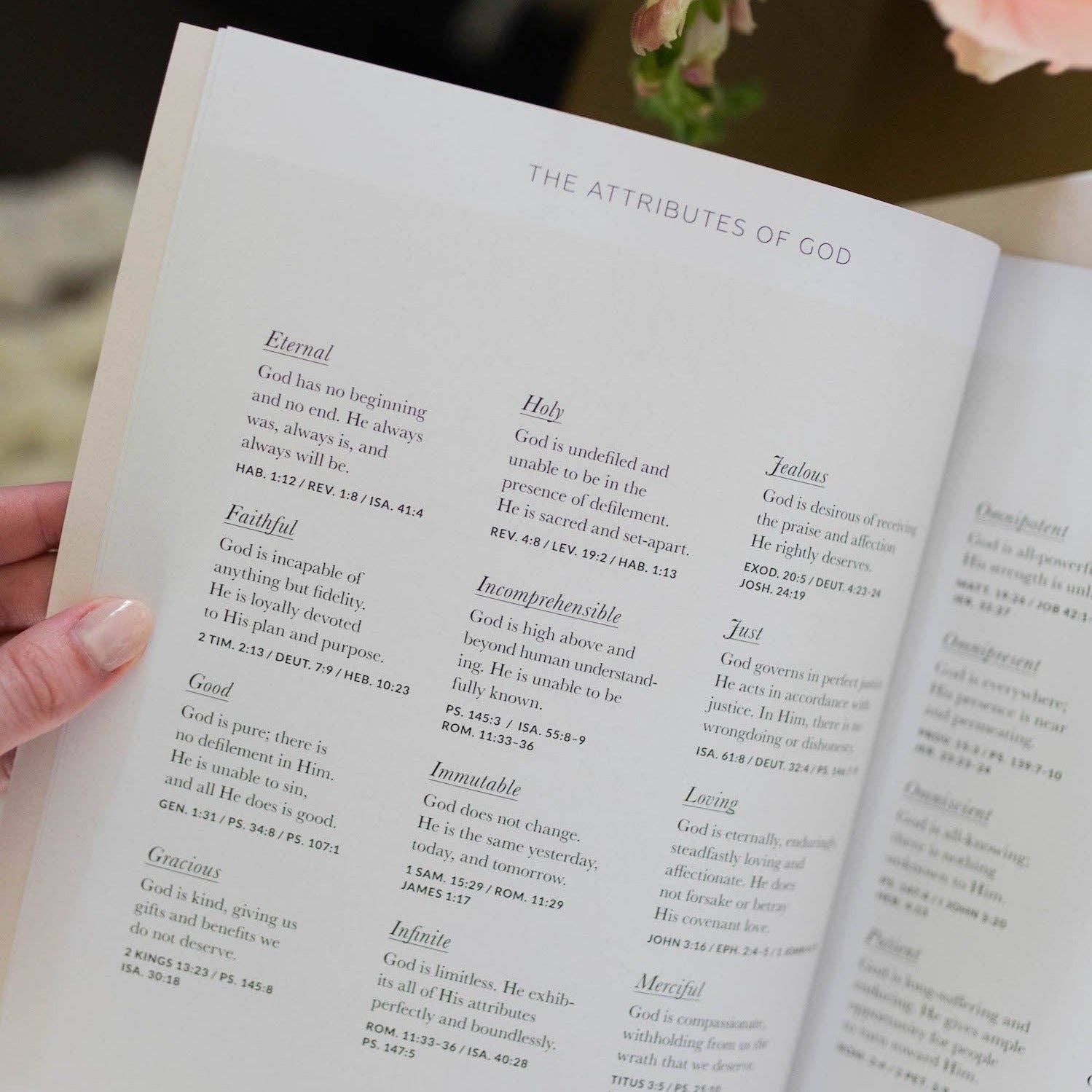 The Daily Grace Co - Growing in Grace | Spiritual Disciplines Study