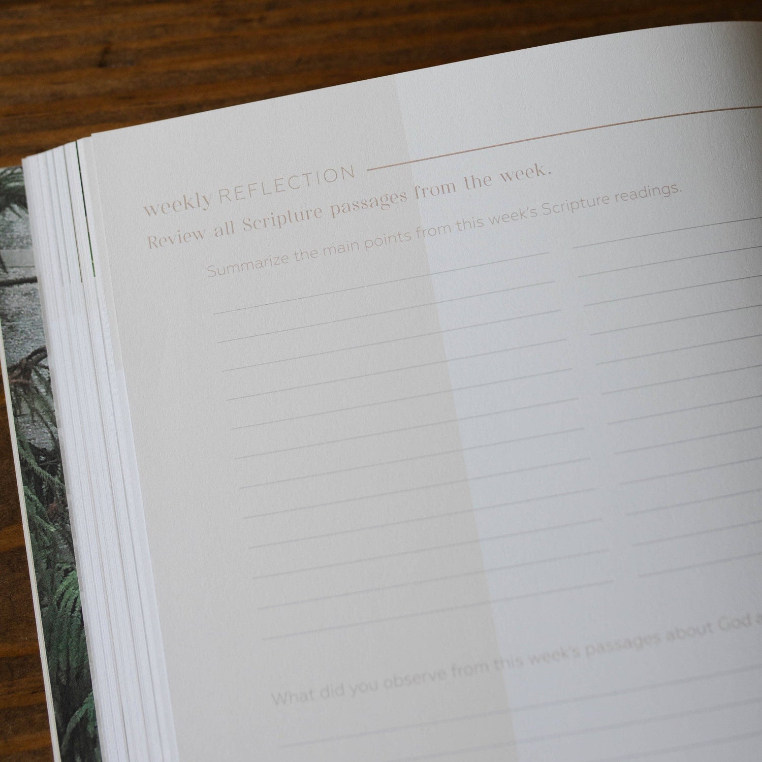 The Daily Grace Co - Pray | Cultivating a Passionate Practice of Prayer