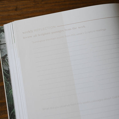 The Daily Grace Co - Pray | Cultivating a Passionate Practice of Prayer