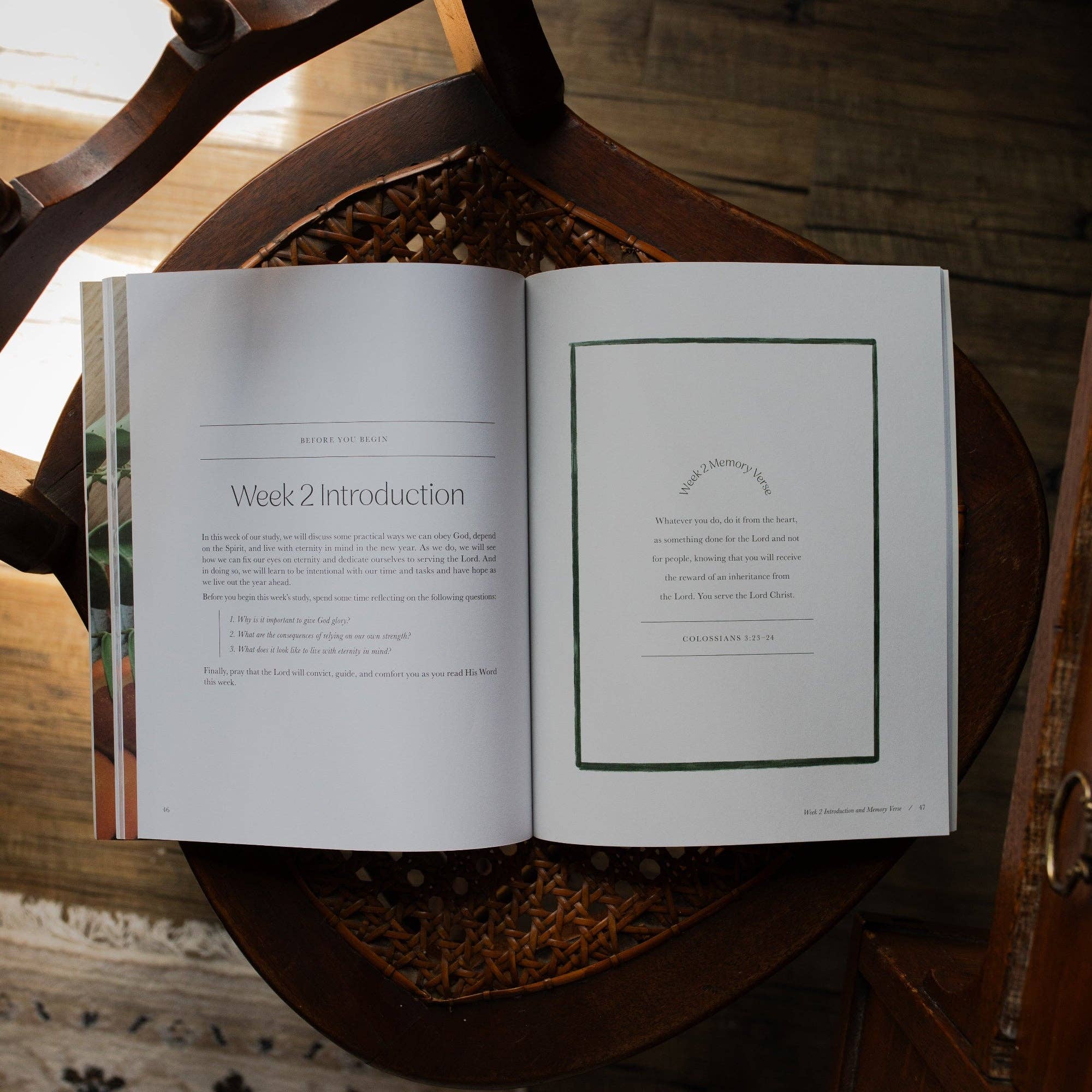 The Daily Grace Co - Fresh Start | 2 Week Study | Finding Peace in Christ for the Year Ahead