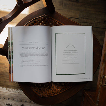 The Daily Grace Co - Fresh Start | 2 Week Study | Finding Peace in Christ for the Year Ahead