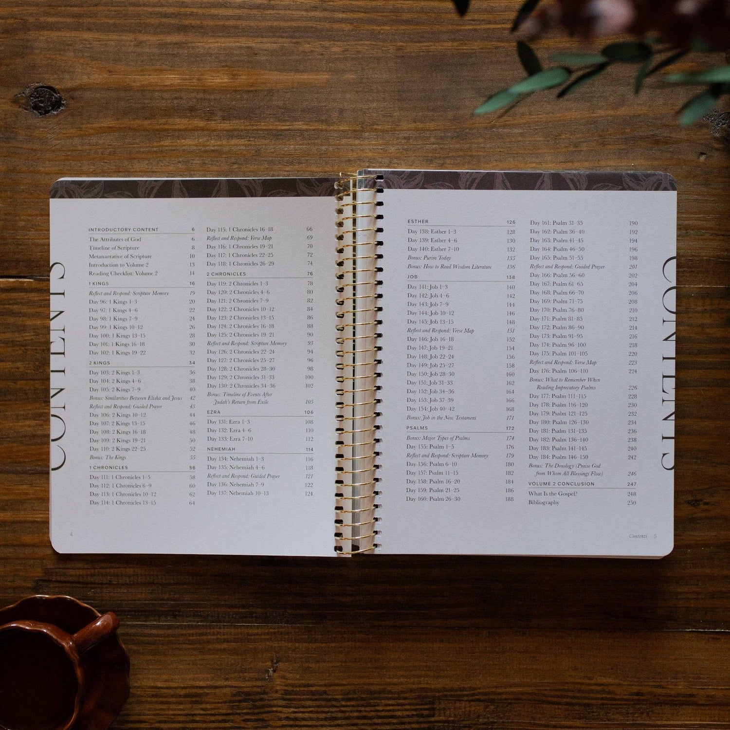 The Daily Grace Co - A Year in the Bible | 365 Days of Discovering the Beauty of Jesus from Genesis to Revelation | Volume 2