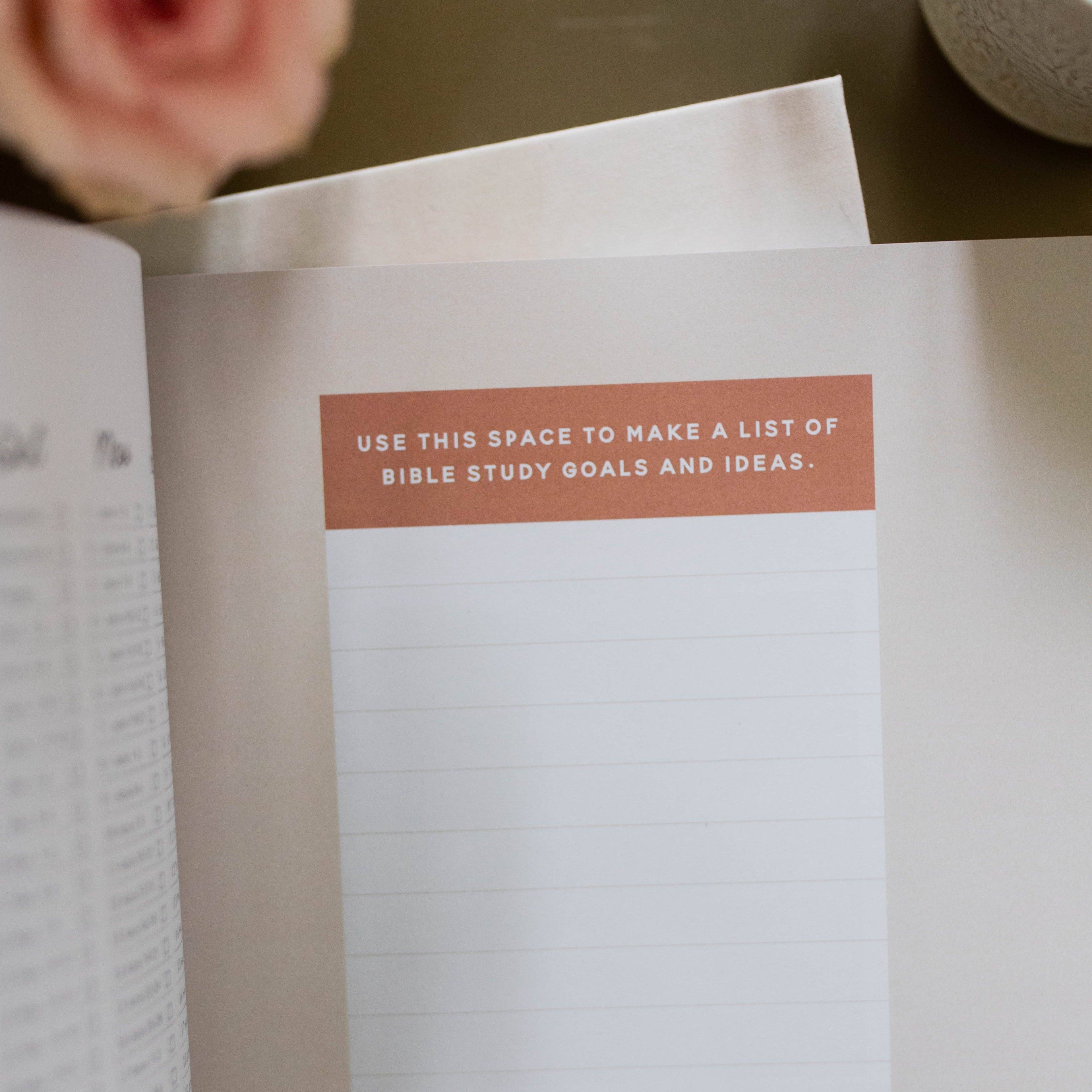 The Daily Grace Co - Growing in Grace | Spiritual Disciplines Study