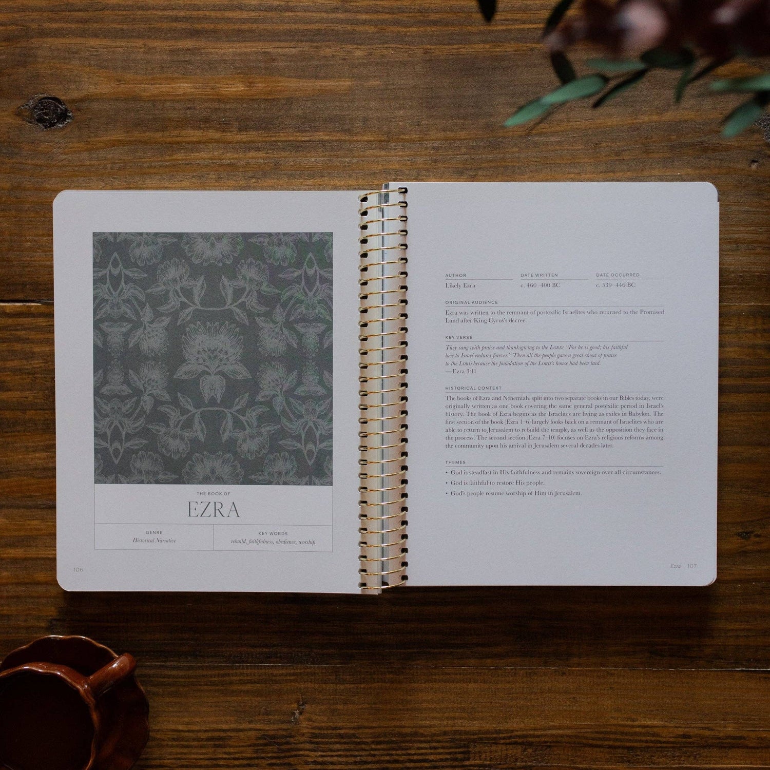 The Daily Grace Co - A Year in the Bible | 365 Days of Discovering the Beauty of Jesus from Genesis to Revelation | Volume 2