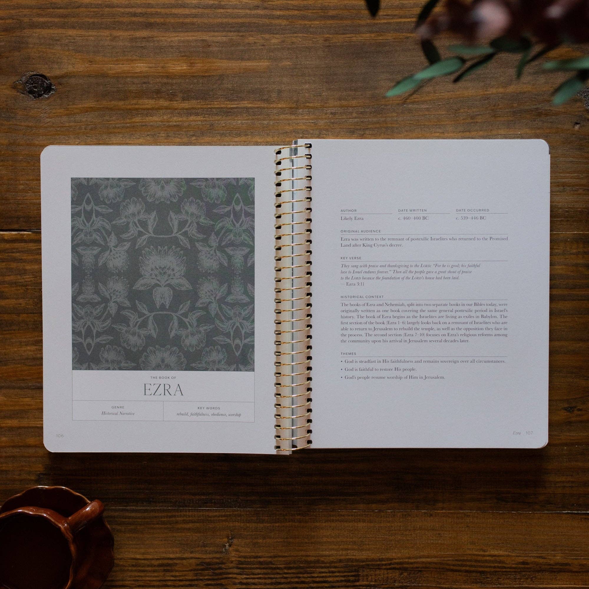 The Daily Grace Co - A Year in the Bible | 365 Days of Discovering the Beauty of Jesus from Genesis to Revelation | Volume 2