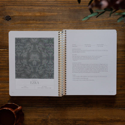 The Daily Grace Co - A Year in the Bible | 365 Days of Discovering the Beauty of Jesus from Genesis to Revelation | Volume 2