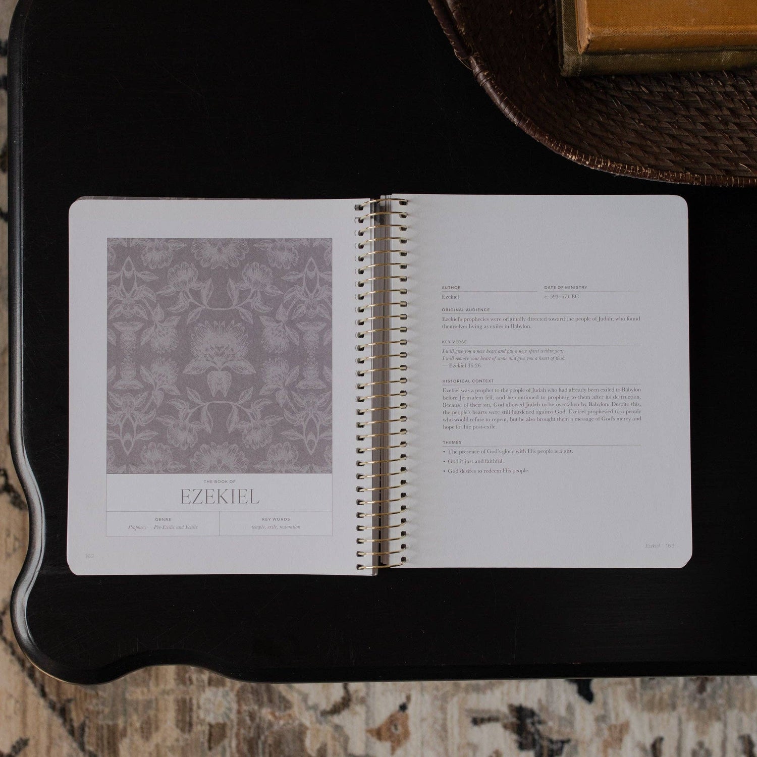 The Daily Grace Co - A Year in the Bible | 365 Days of Discovering the Beauty of Jesus from Genesis to Revelation | Volume 3