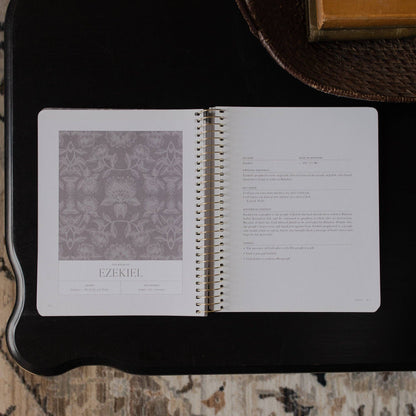 The Daily Grace Co - A Year in the Bible | 365 Days of Discovering the Beauty of Jesus from Genesis to Revelation | Volume 3