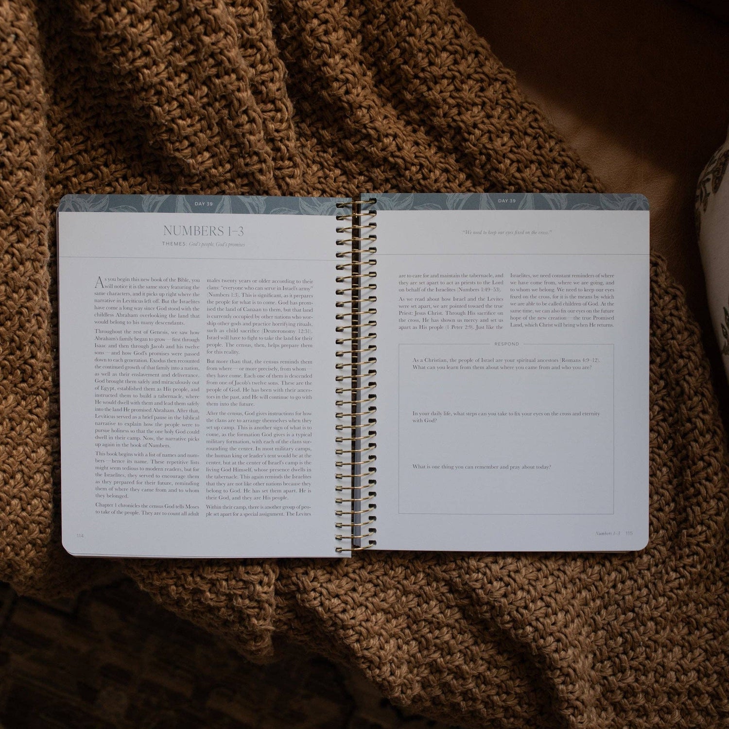The Daily Grace Co - A Year in the Bible | Volume 1 Bible Study