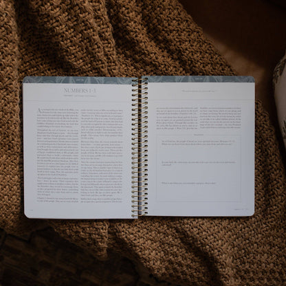 The Daily Grace Co - A Year in the Bible | Volume 1 Bible Study