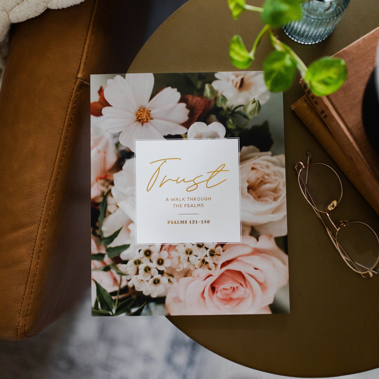 The Daily Grace Co - Trust | Psalms 121-150