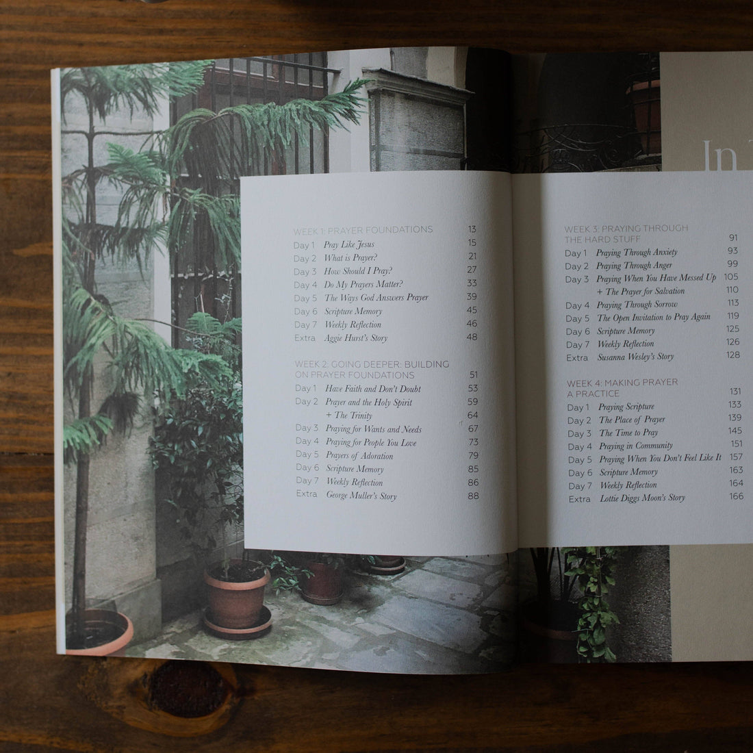 The Daily Grace Co - Pray | Cultivating a Passionate Practice of Prayer