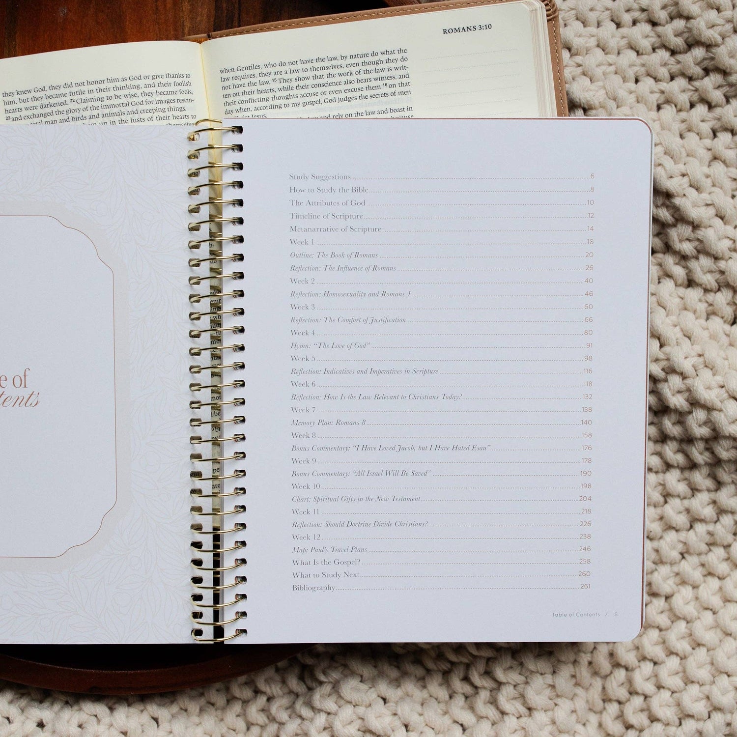 The Daily Grace Co - In Christ Alone: A Study on the Book of Romans